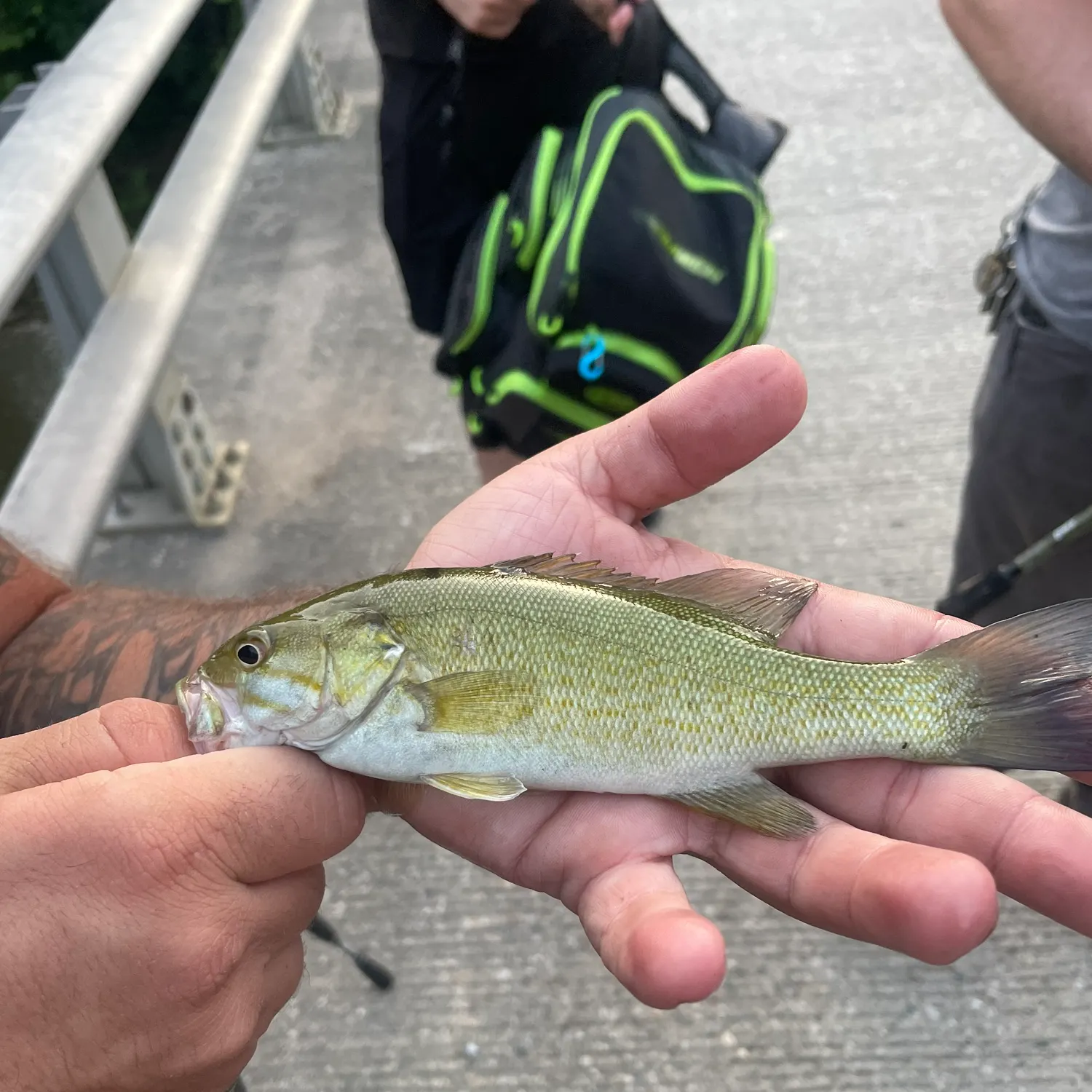 catch
