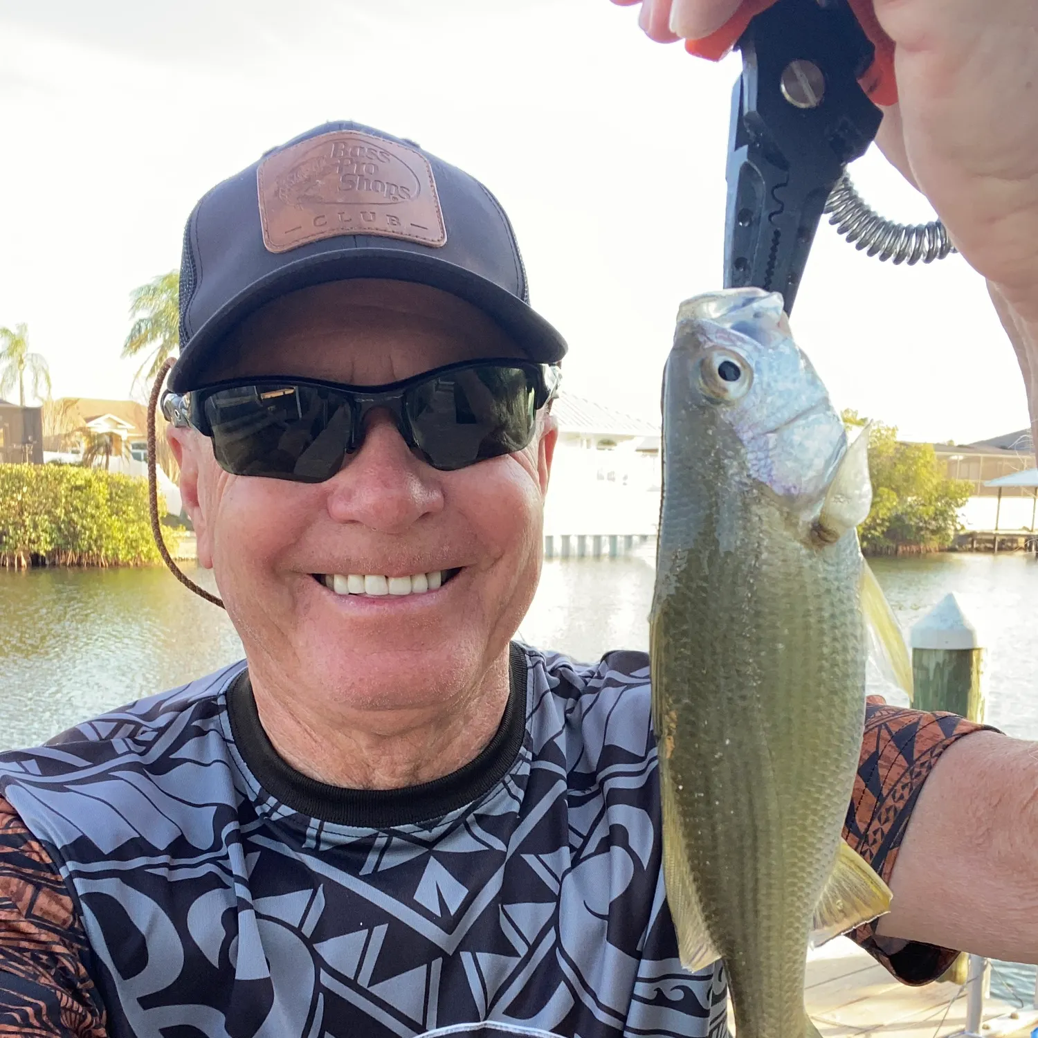 The most recent Gray weakfish catches on Fishbrain