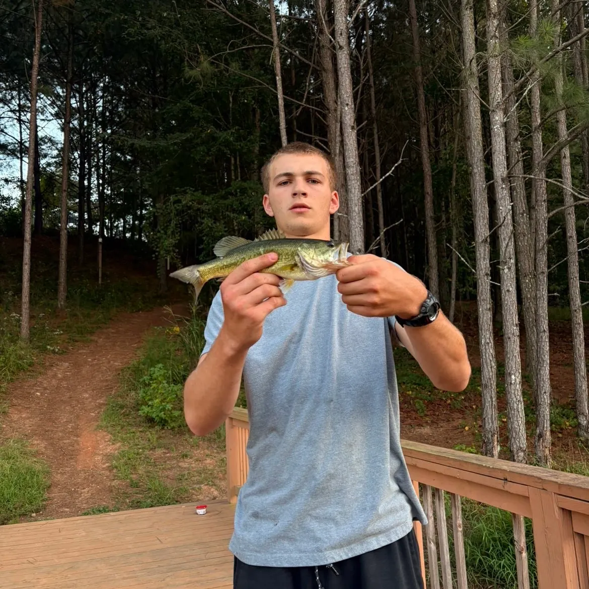 Spotted bass caught on Fishbrain