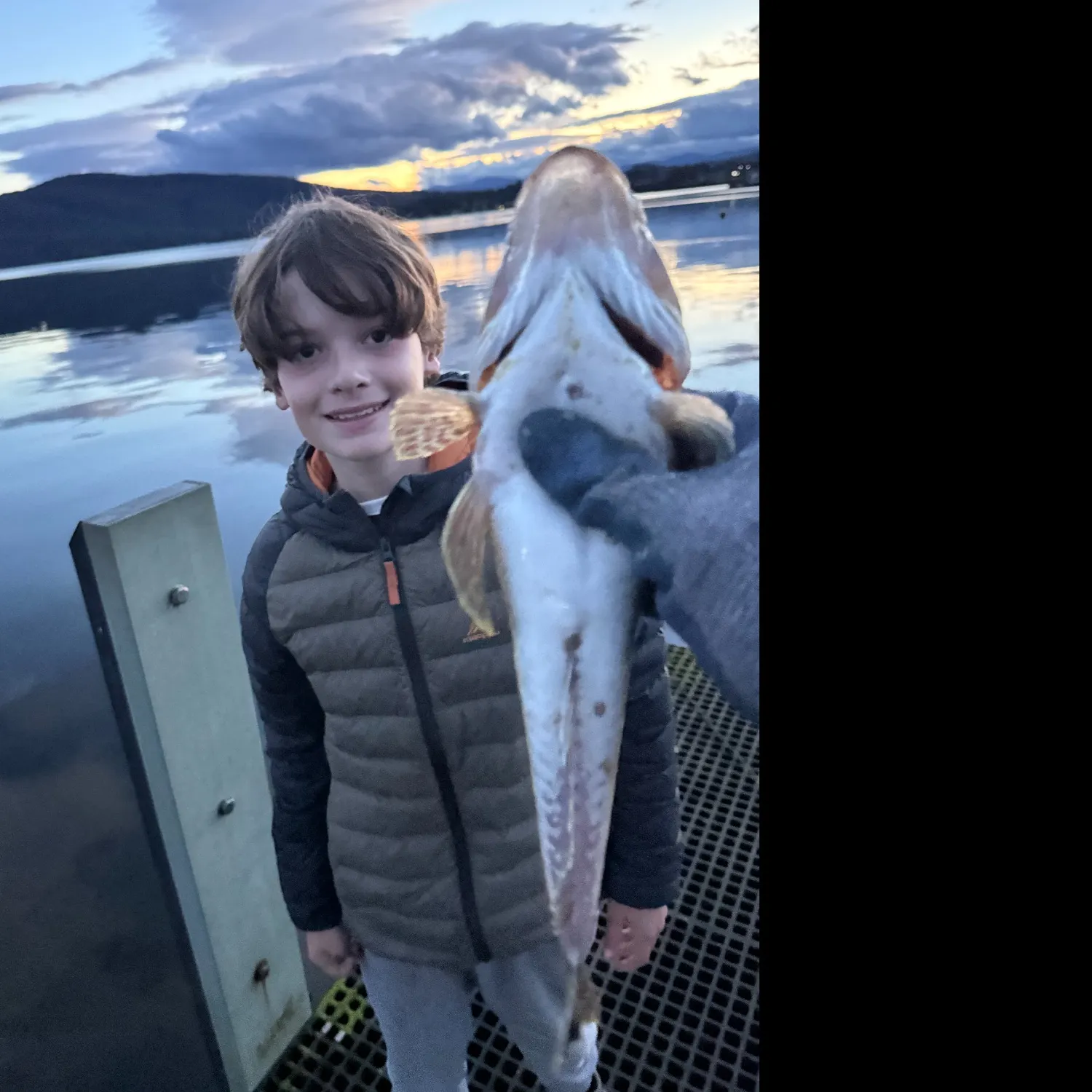 Sand flathead caught on Fishbrain