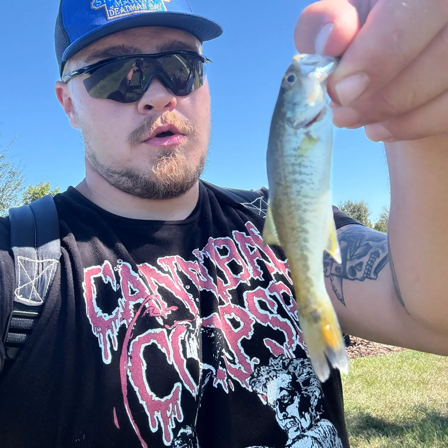 The most recent Tallapoosa bass catches on Fishbrain