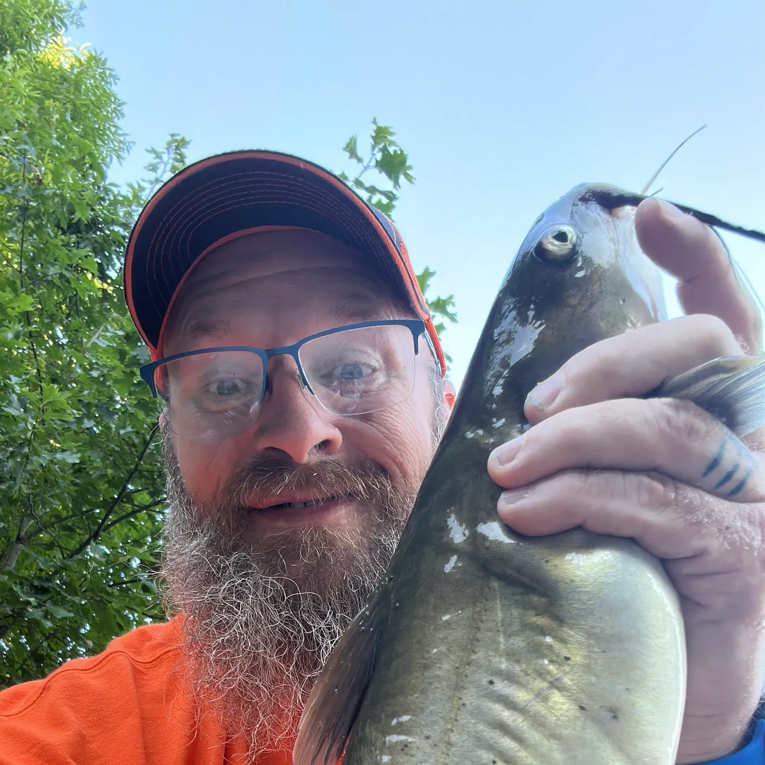 Channel catfish caught on Fishbrain