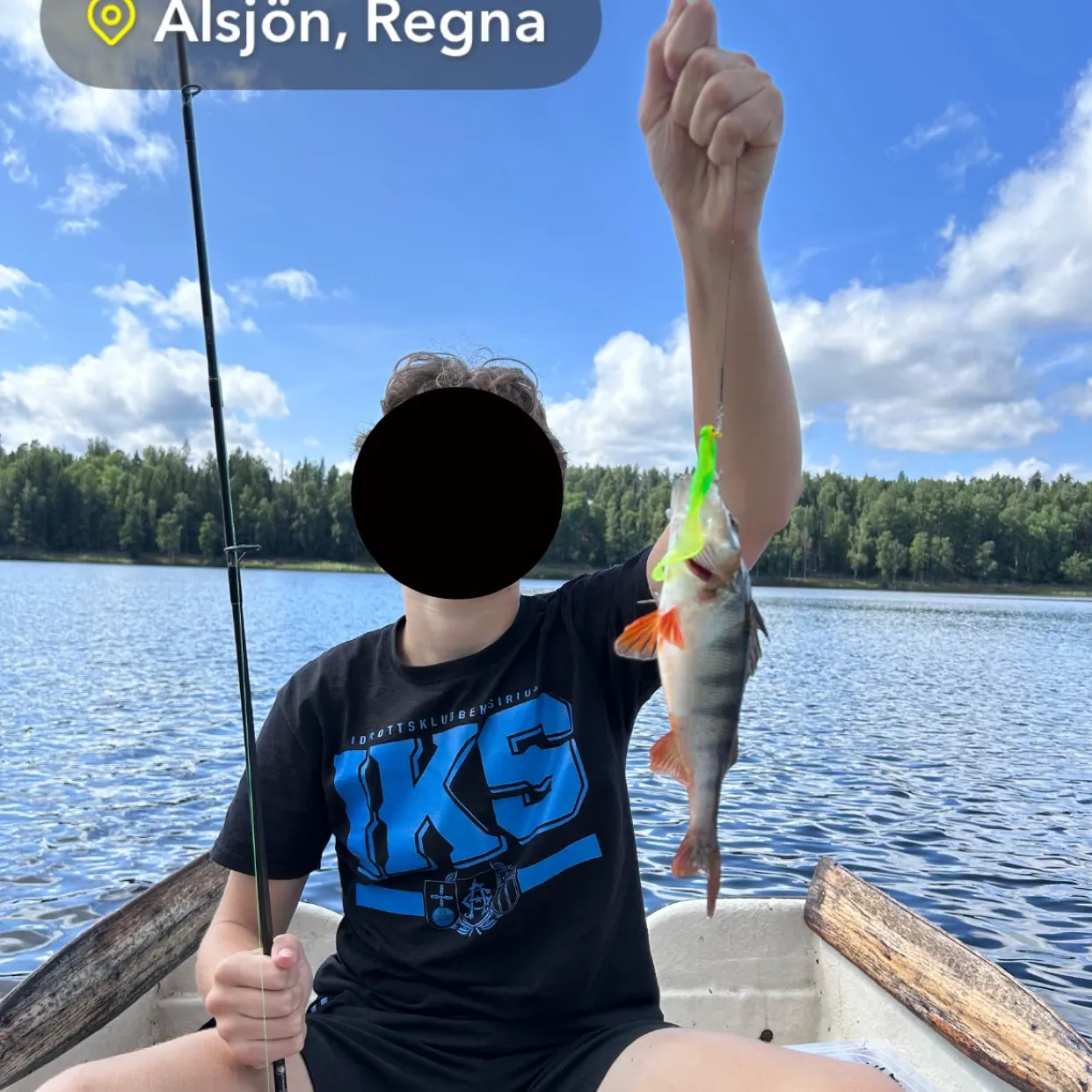 European perch caught on Fishbrain
