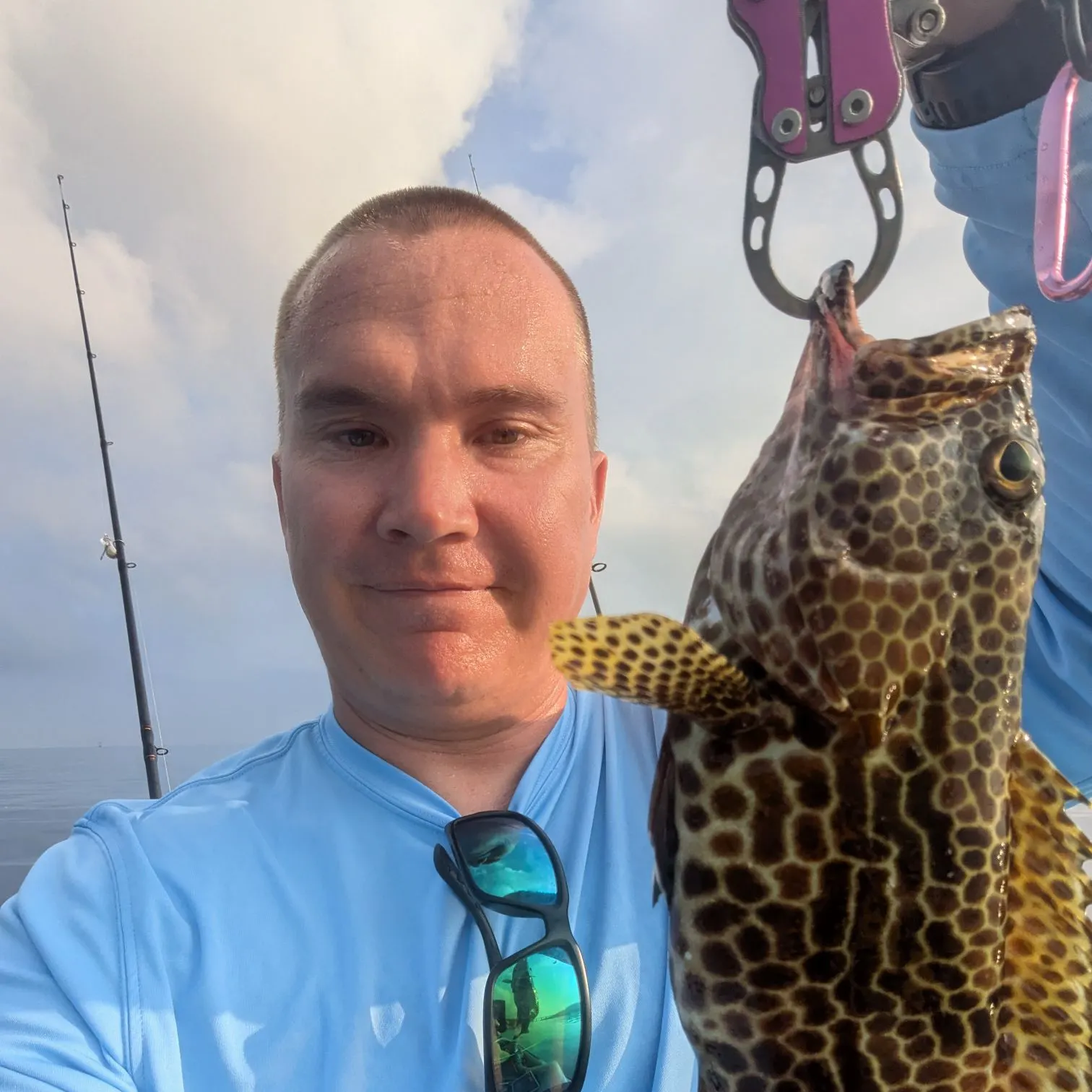 The most recent Honeycomb grouper catches on Fishbrain