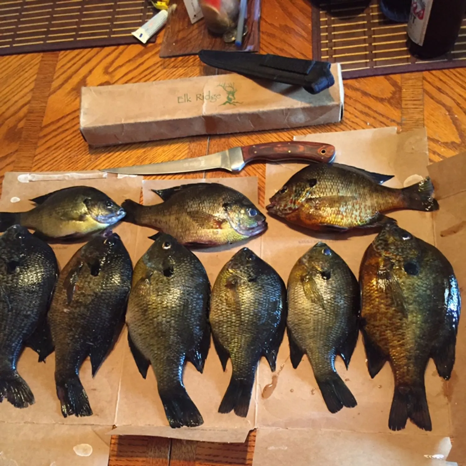 recently logged catches