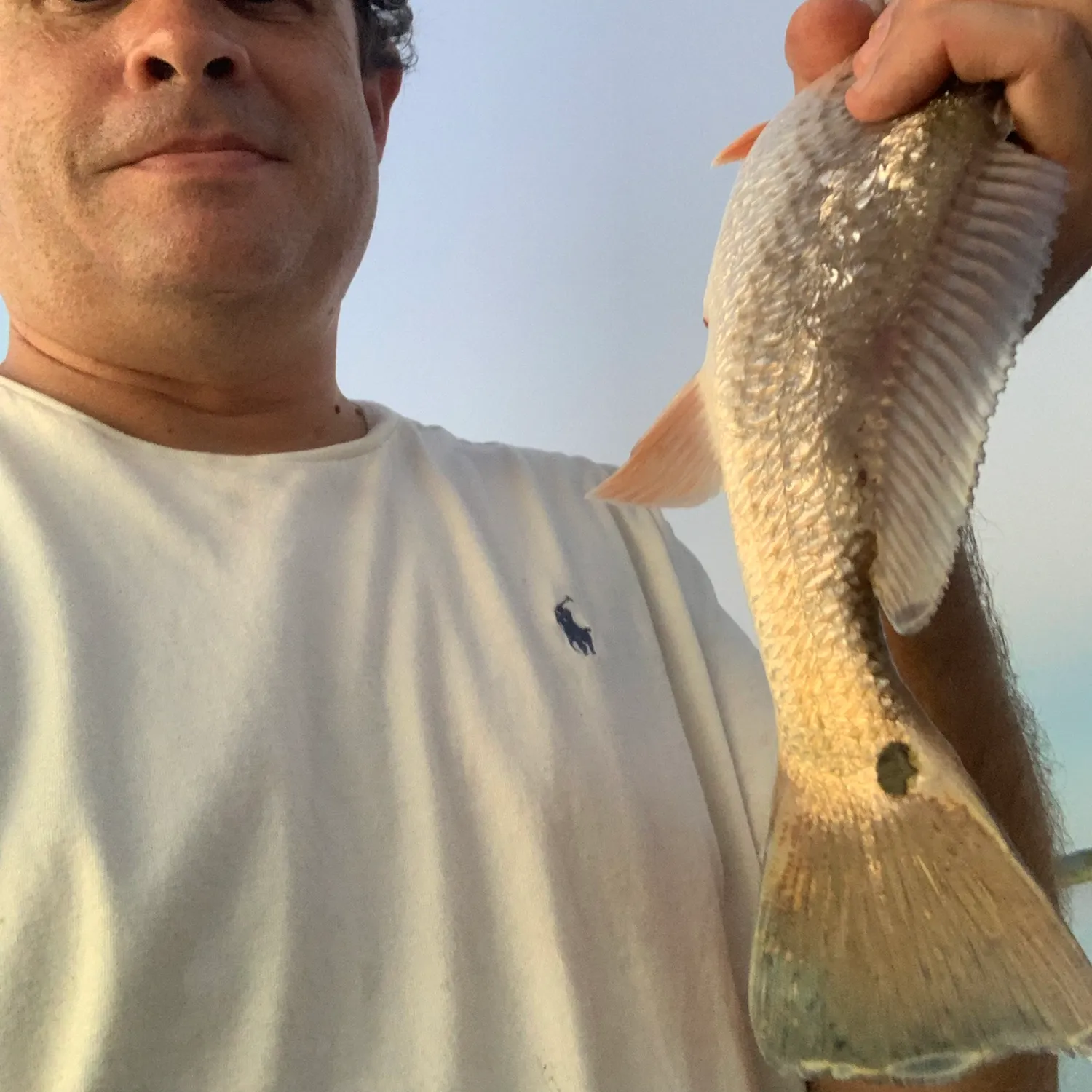 Red drum caught on Fishbrain