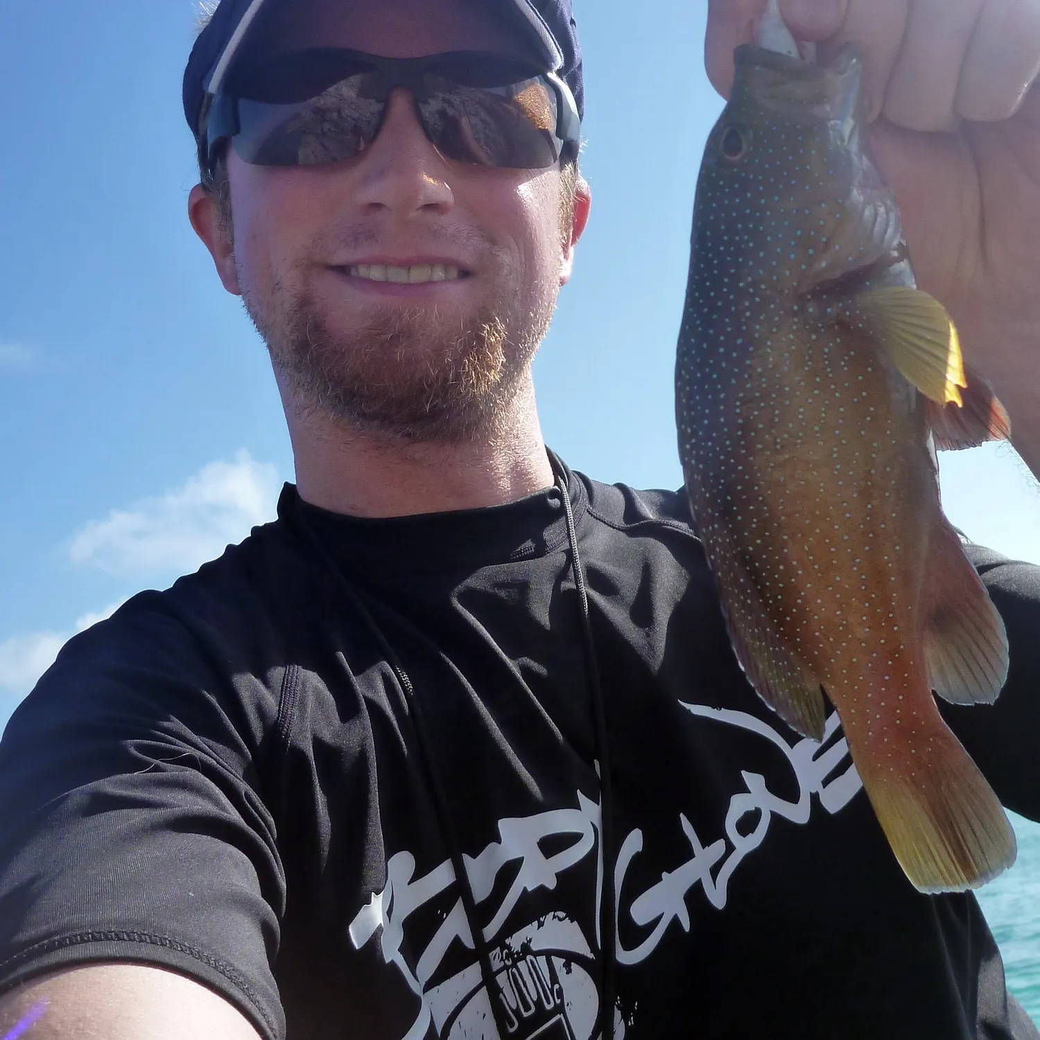 The most recent Coral grouper catches on Fishbrain