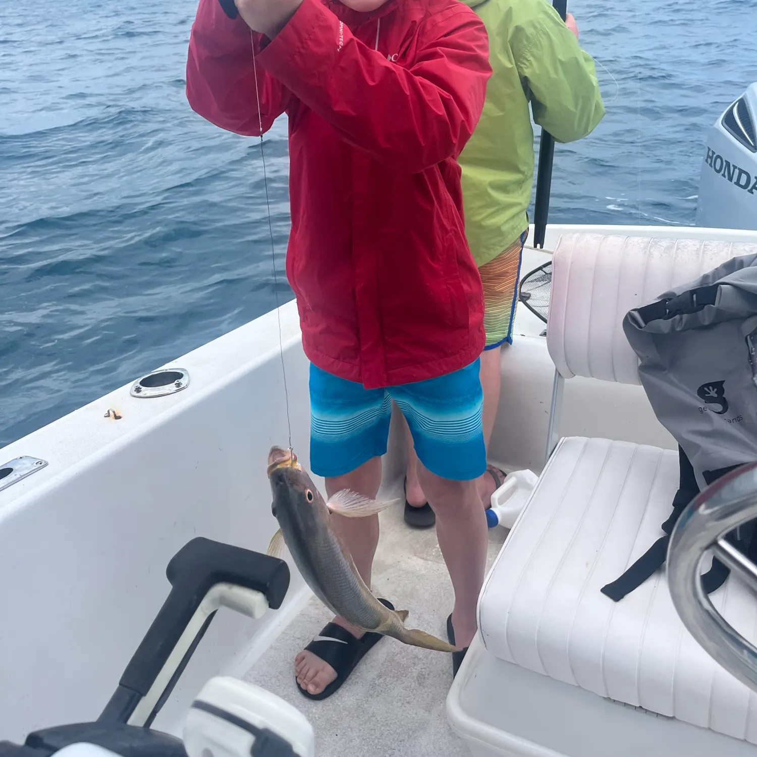 The most recent Lesser amberjack catches on Fishbrain