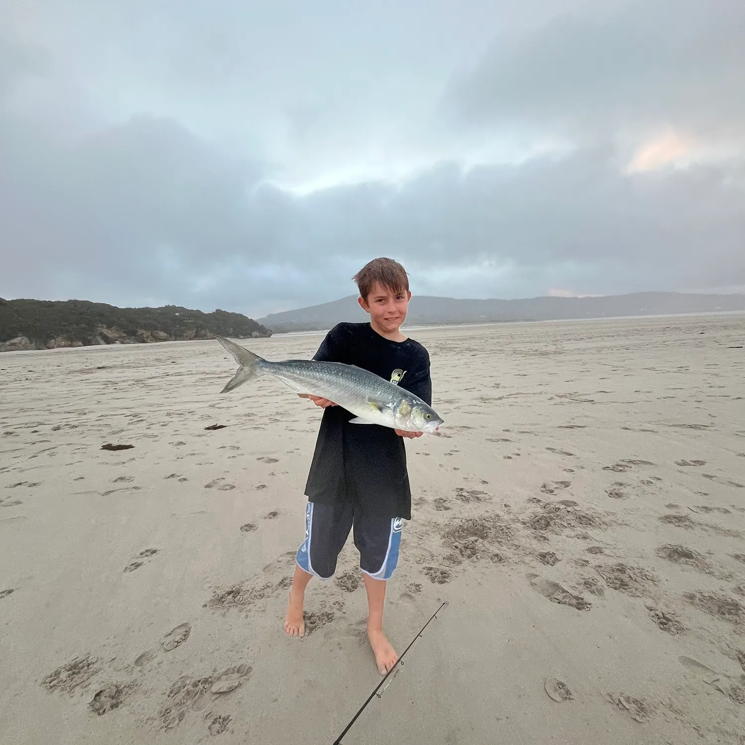 The most recent Western Australian salmon catches on Fishbrain