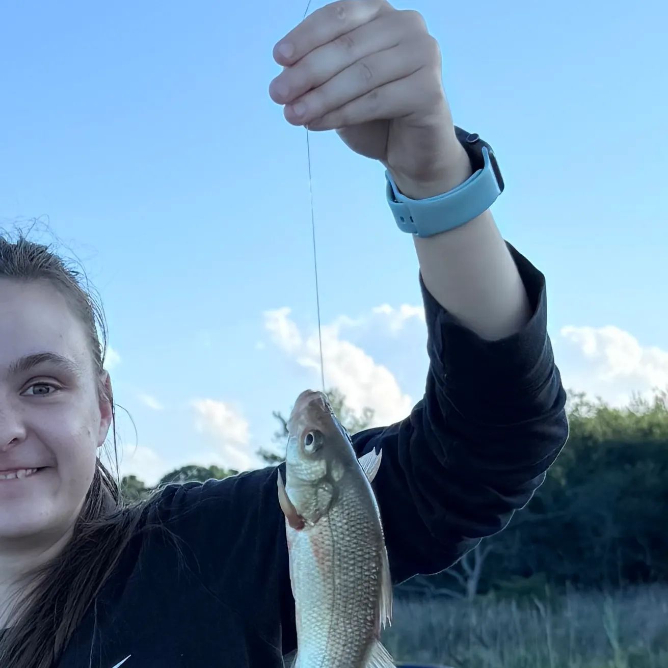 White perch caught on Fishbrain