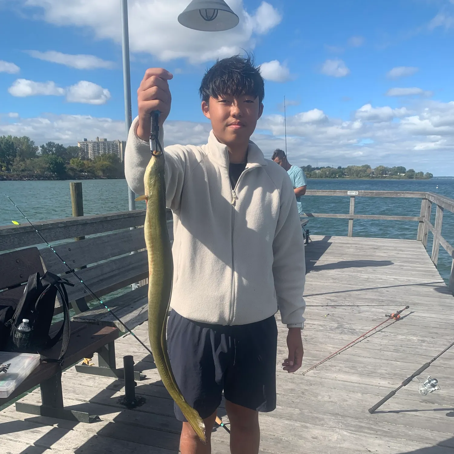 American eel caught on Fishbrain