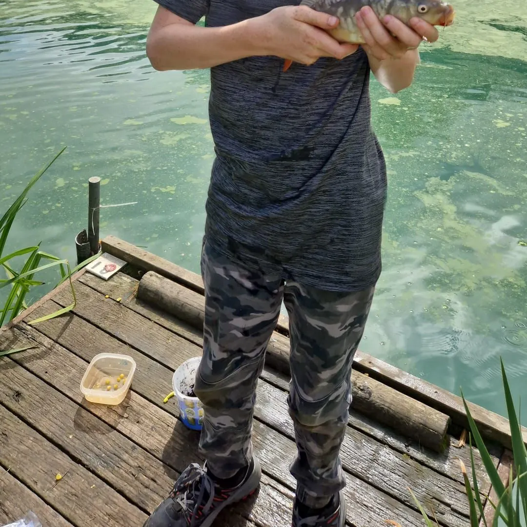Mirror carp caught on Fishbrain