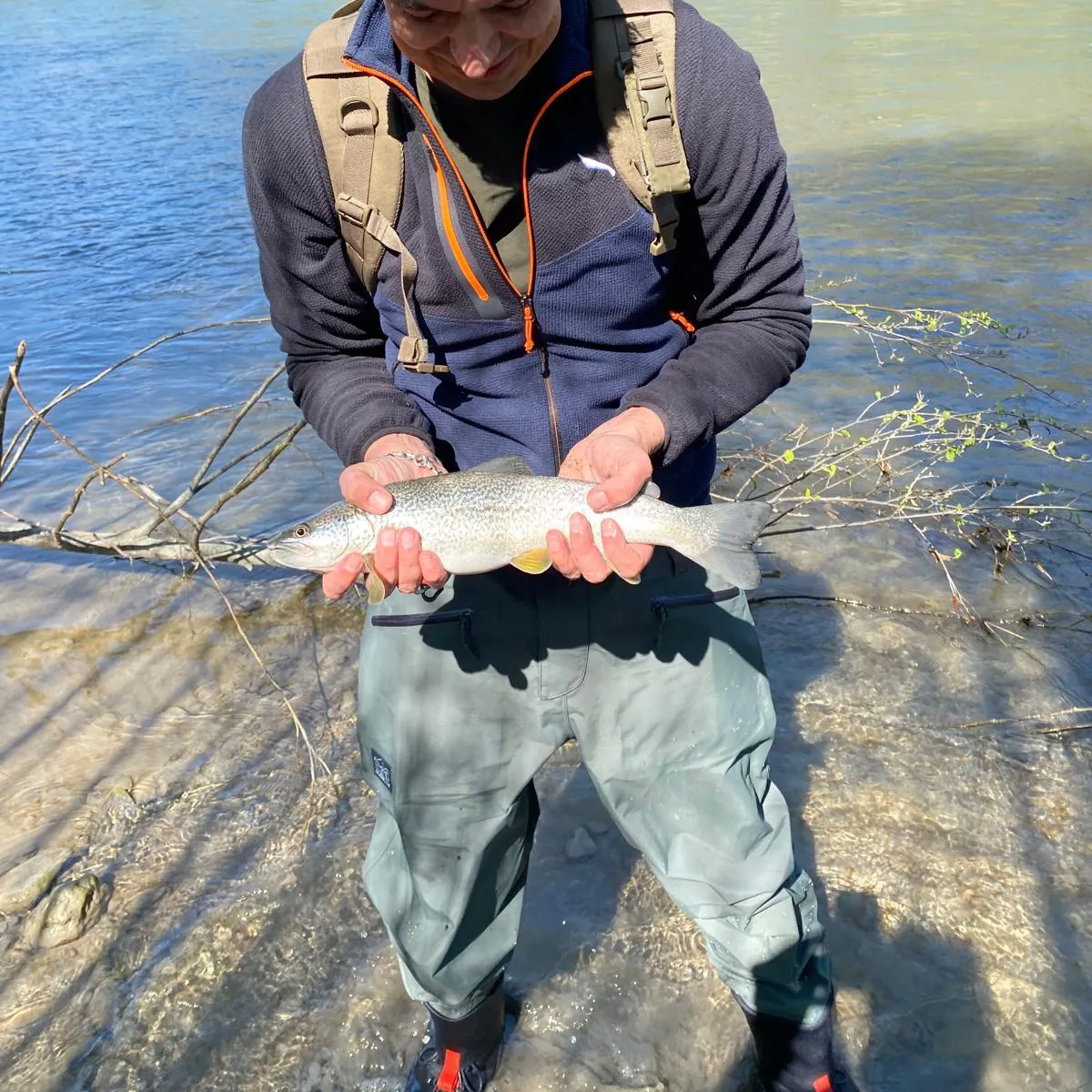 The most recent Marble trout catches on Fishbrain