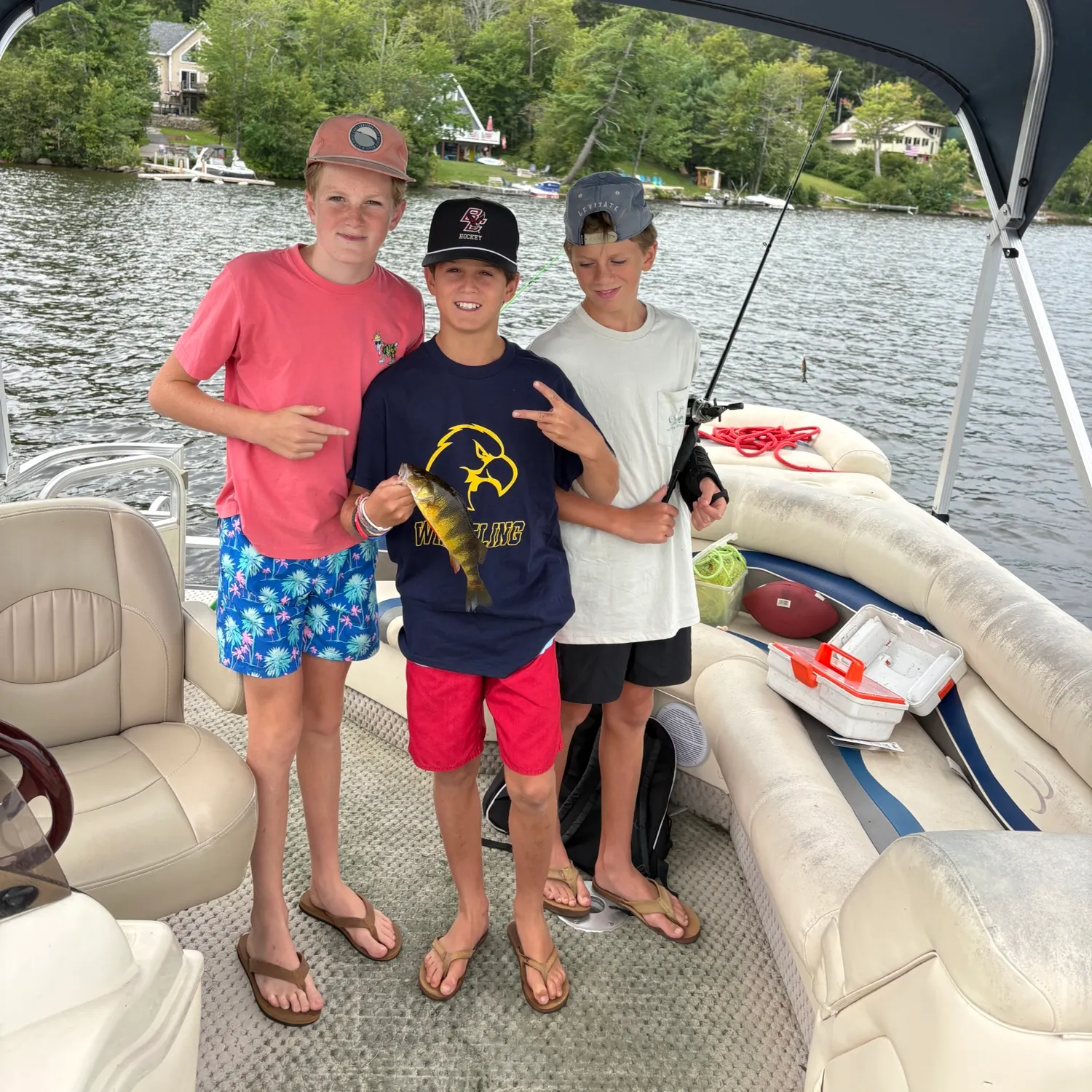 Yellow perch caught on Fishbrain