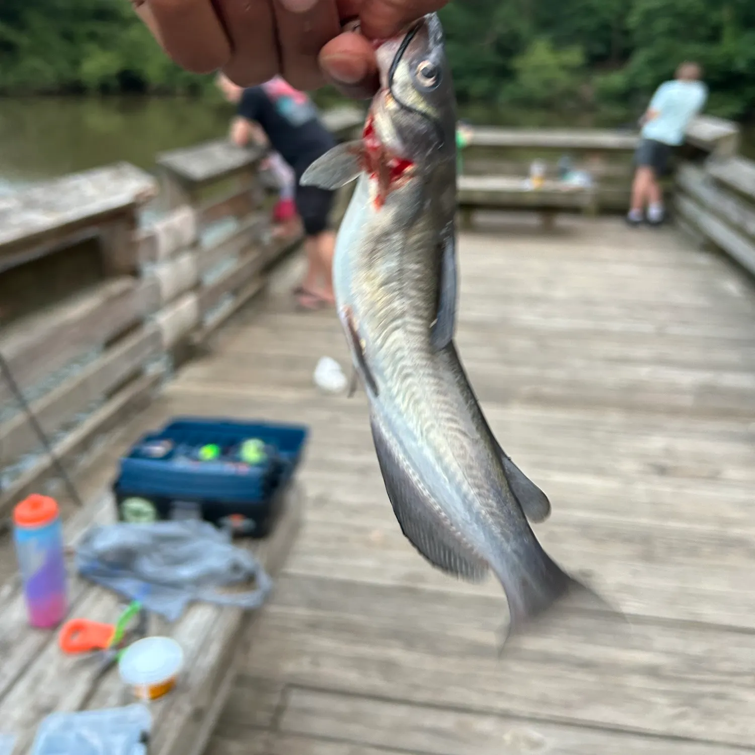 catch