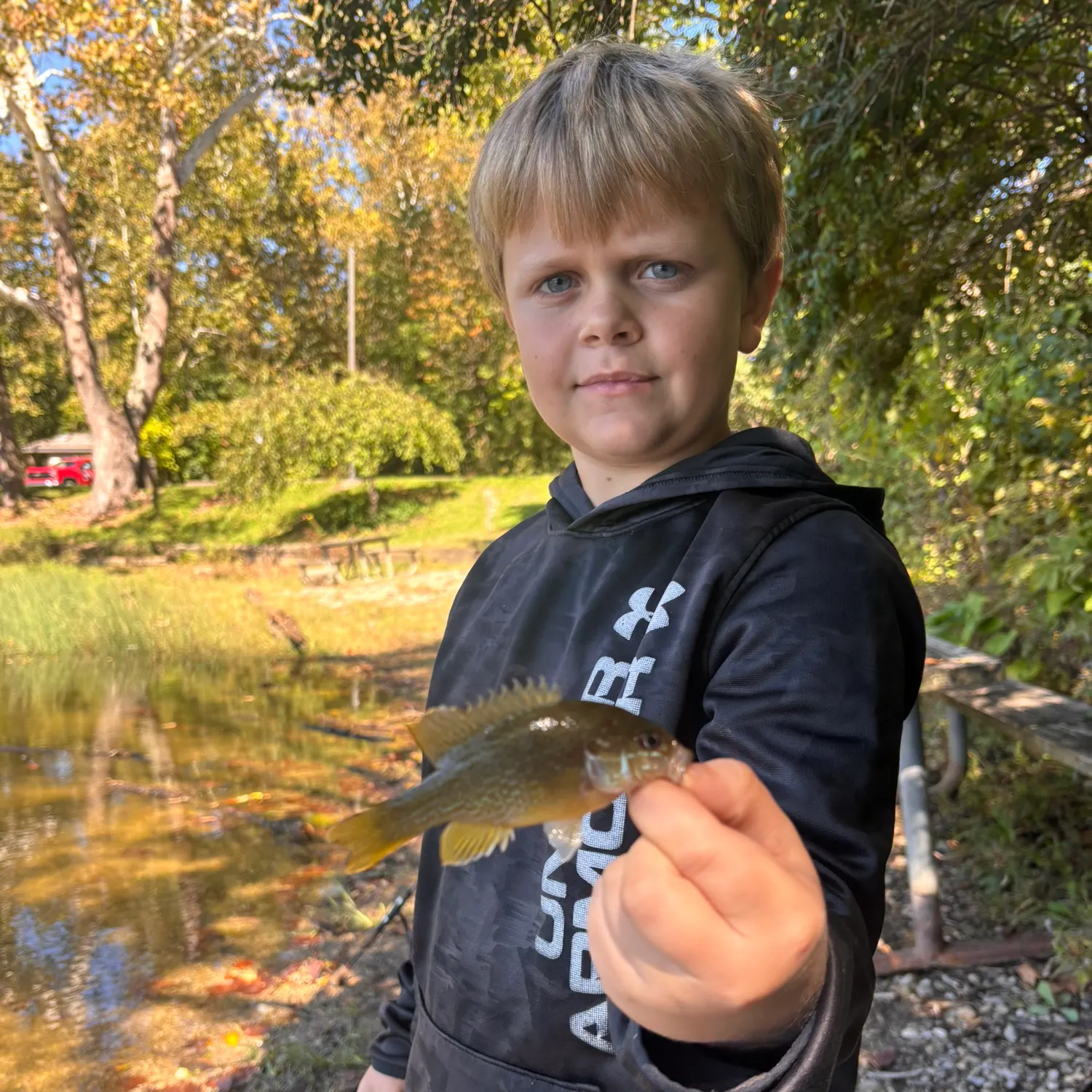 Green sunfish caught on Fishbrain