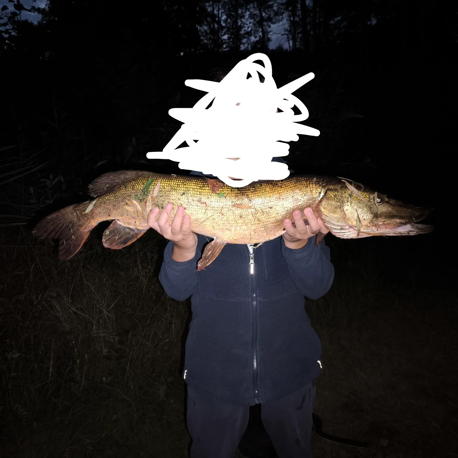 Northern pike caught on Fishbrain