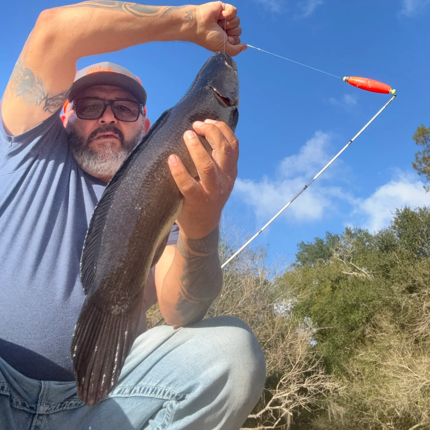 Ruddy bowfin caught on Fishbrain