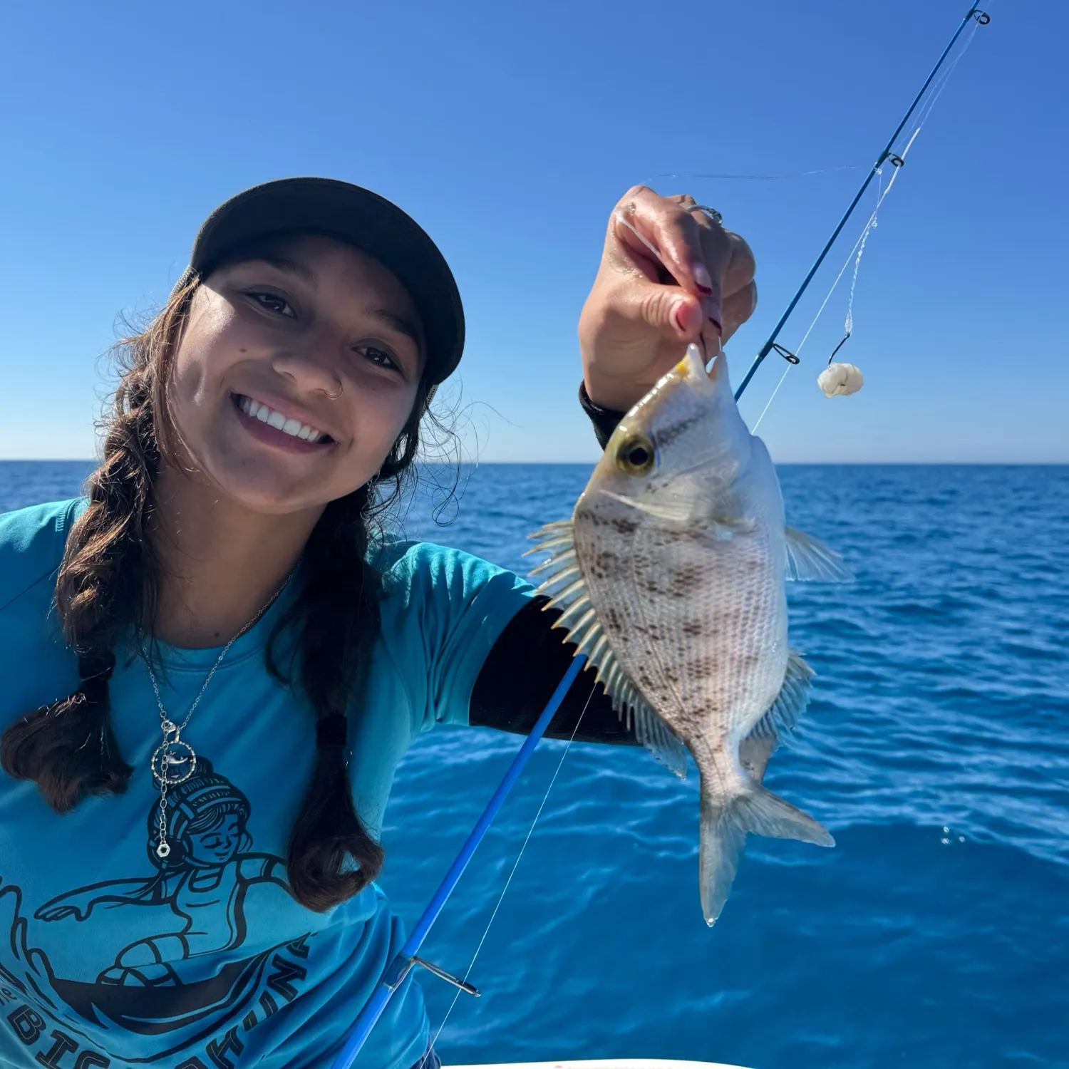 The most recent Sheepshead porgy catches on Fishbrain