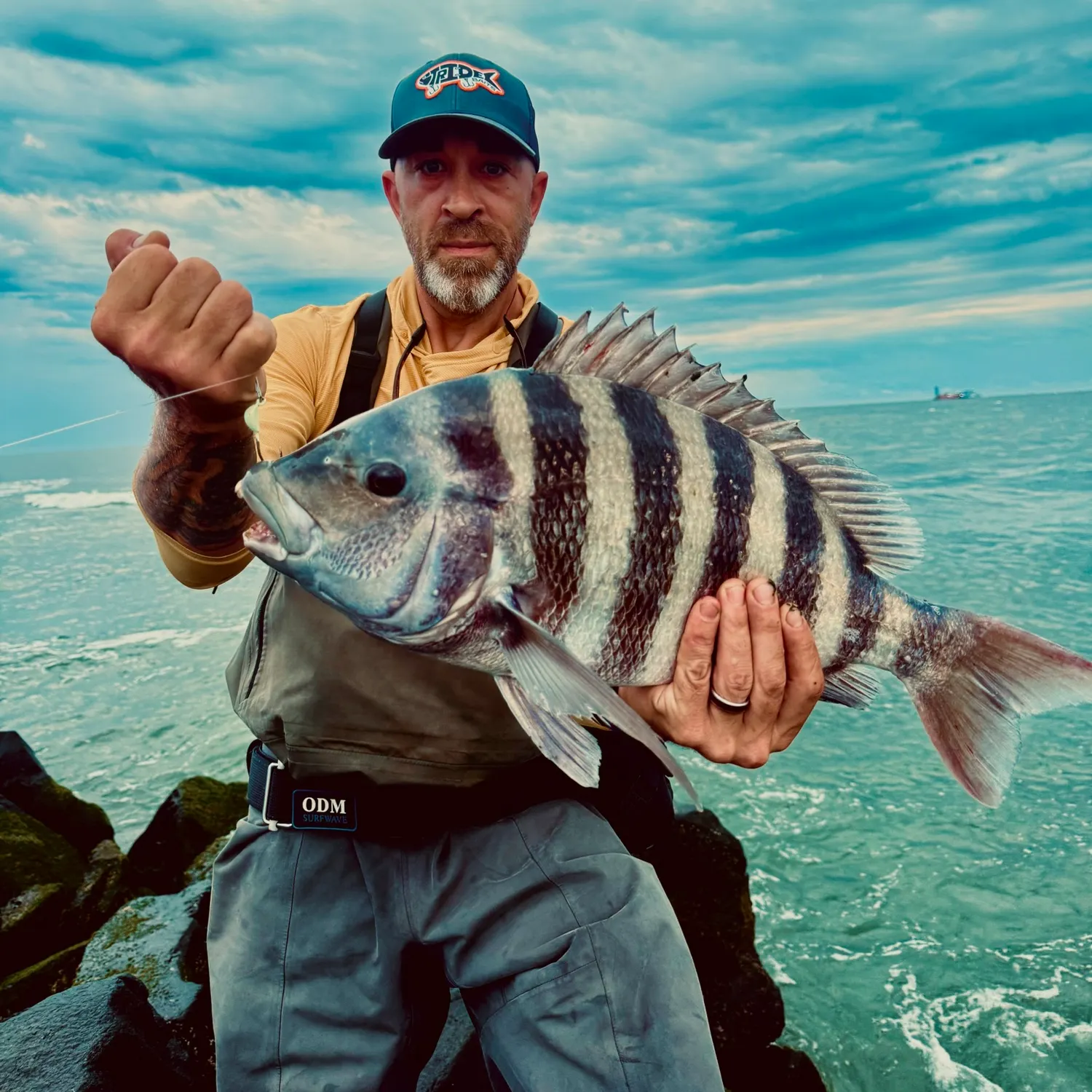 Sheepshead caught on Fishbrain