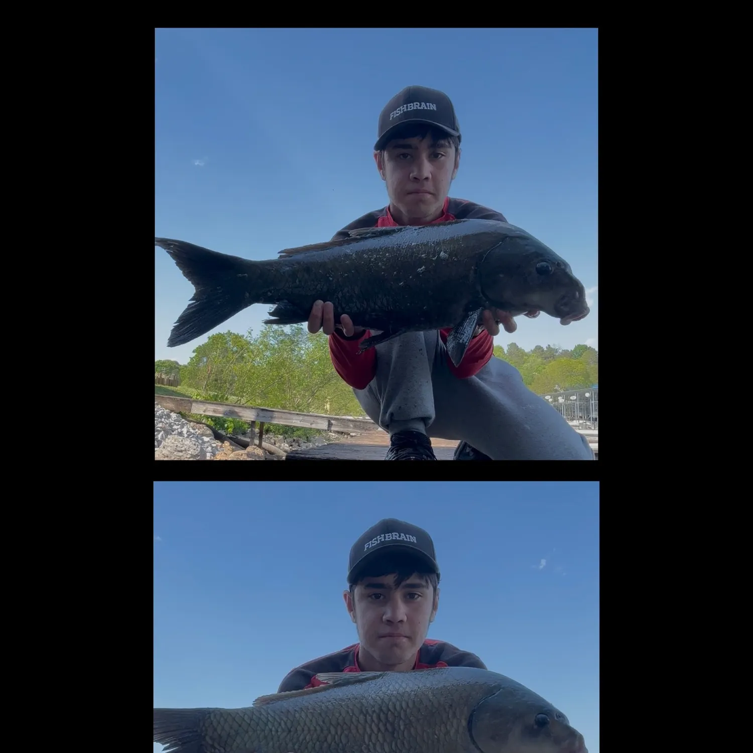 The most recent Smallmouth buffalo catches on Fishbrain