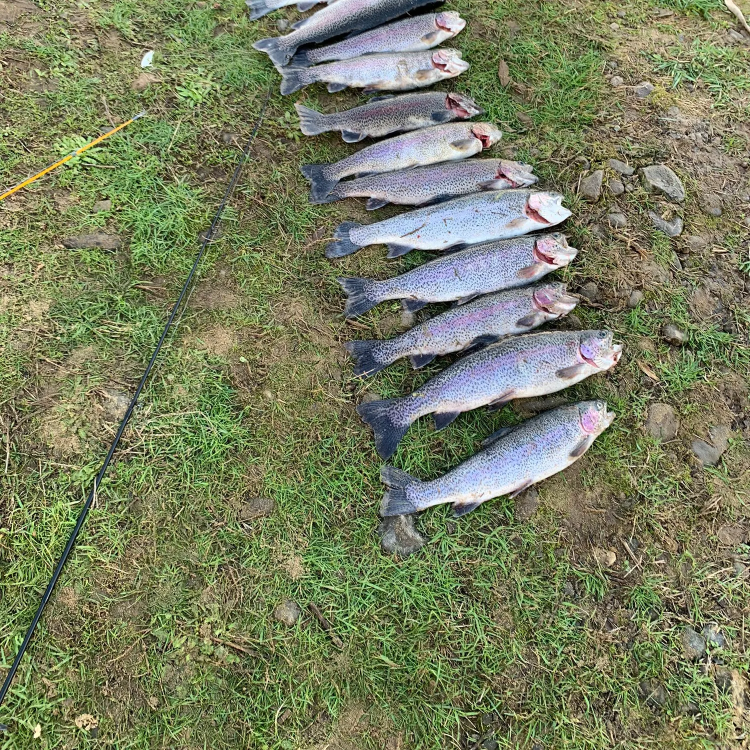 angler catch