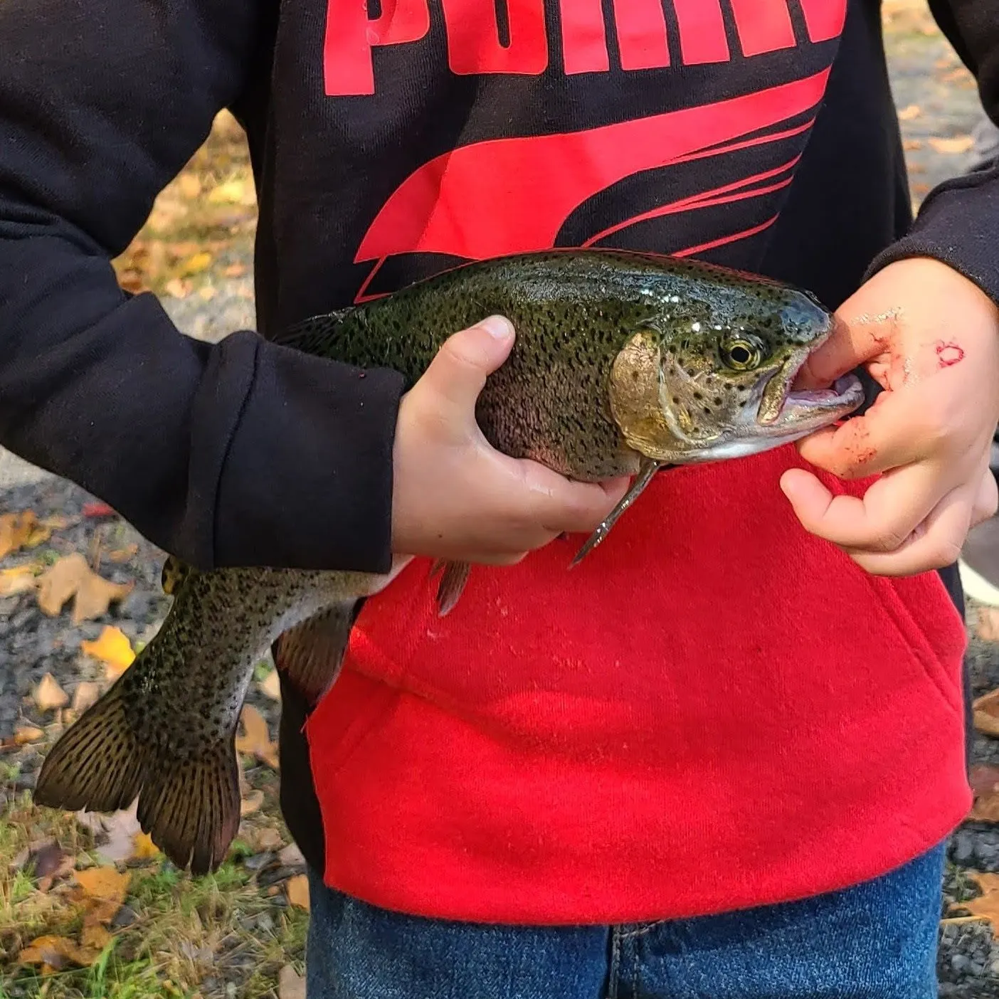 Fish caught on Fishbrain