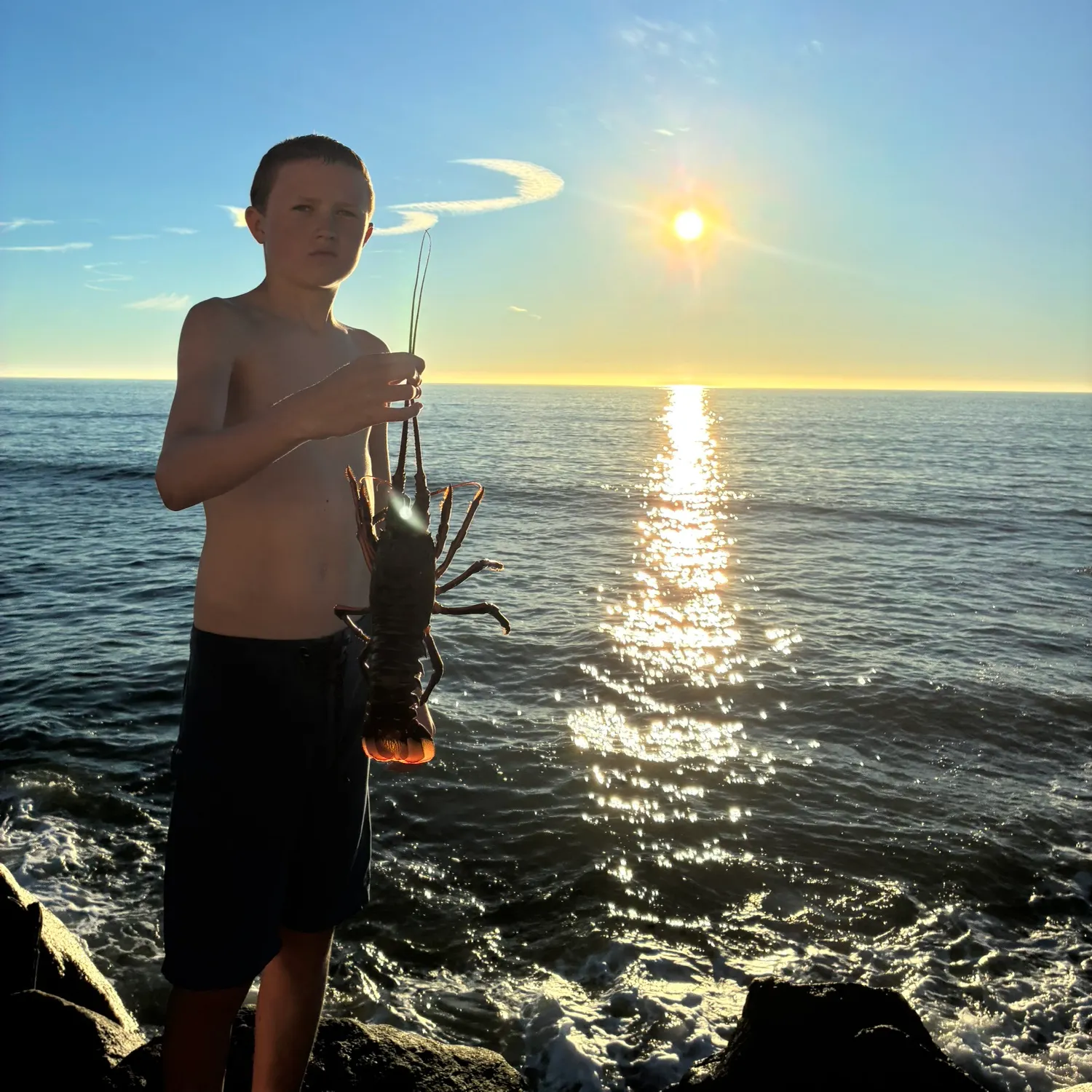 The most recent Leopard shark catches on Fishbrain