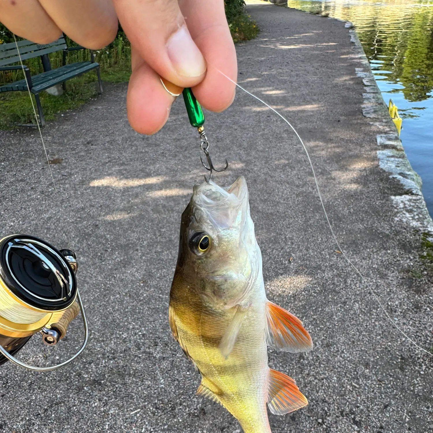 catch