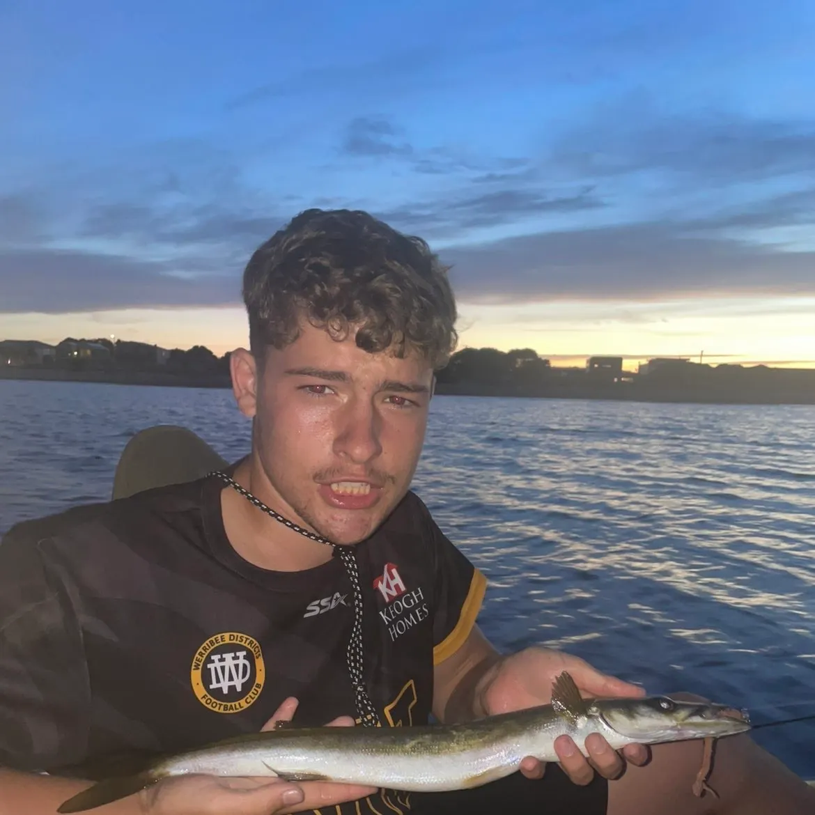 The most recent Australian barracuda catches on Fishbrain