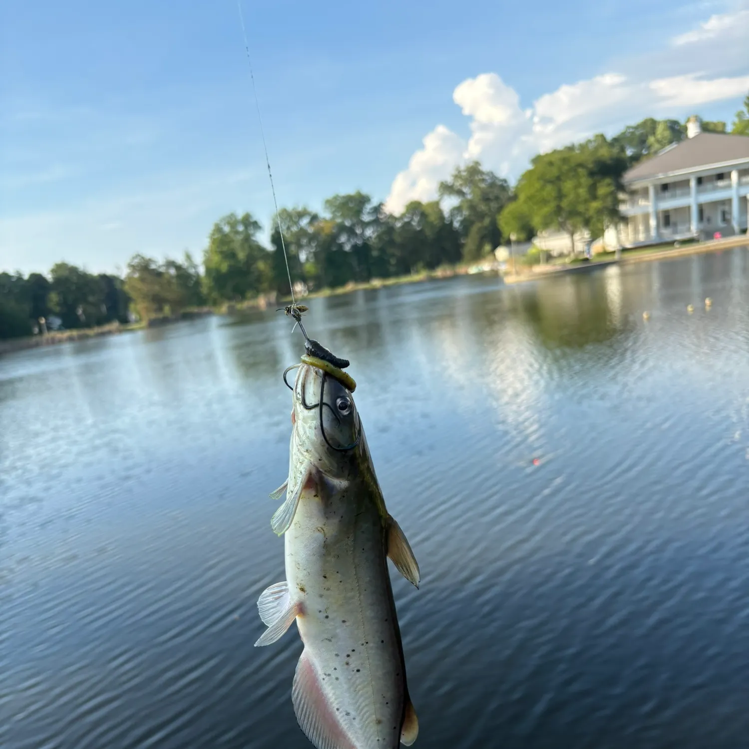 catch