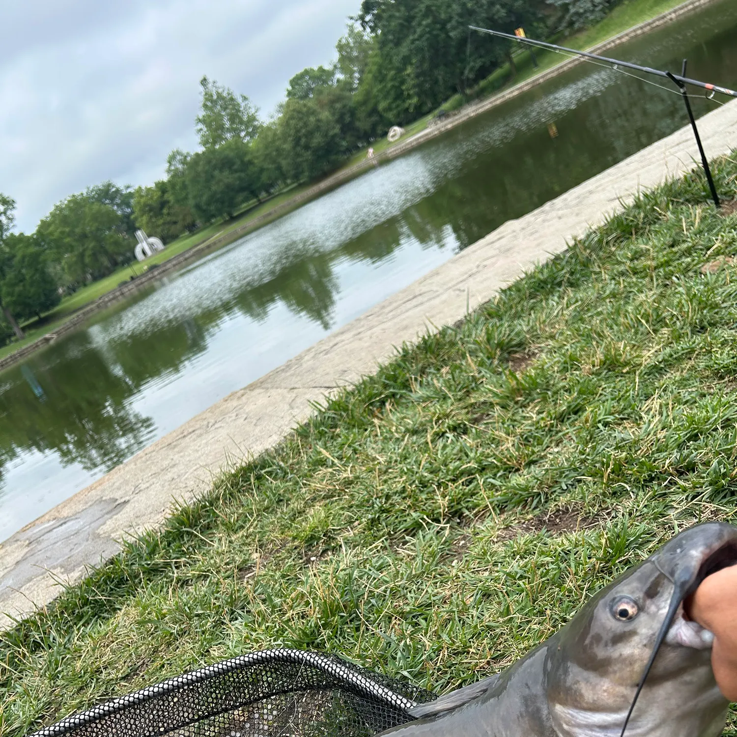 Fishing in Dayton, OH (United States) ️️️️ Find Spots, Species & Tips