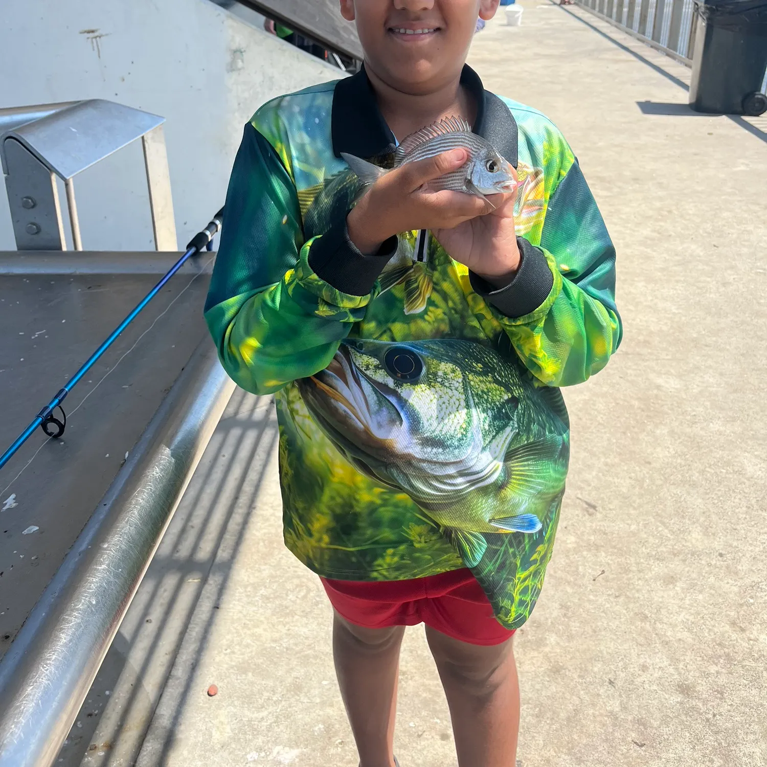The most recent Surf bream catches on Fishbrain