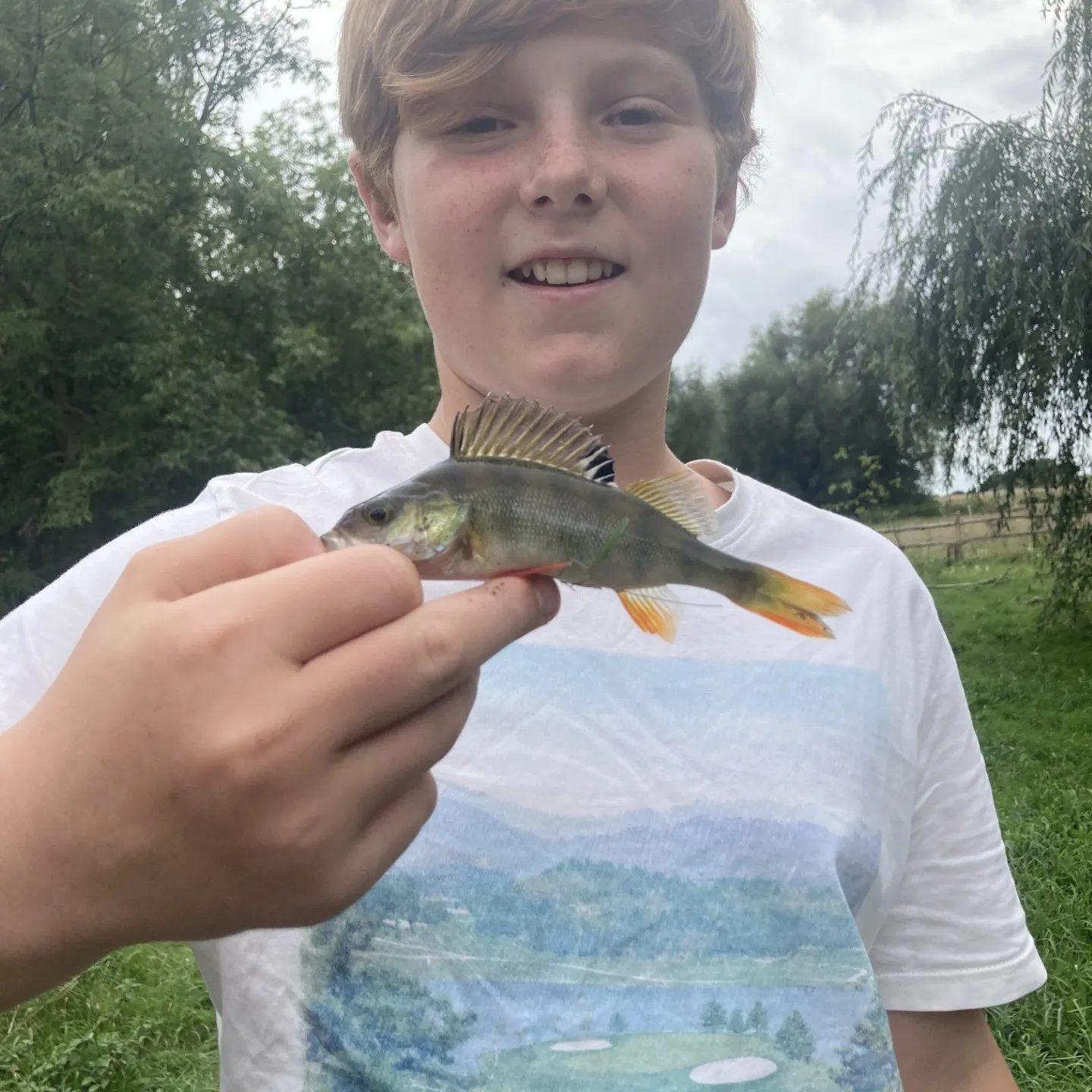 European perch caught on Fishbrain