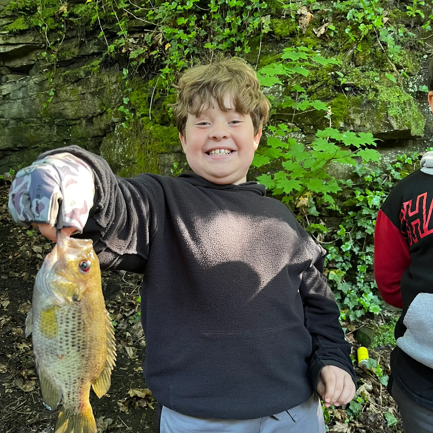 The most recent Roanoke bass catches on Fishbrain