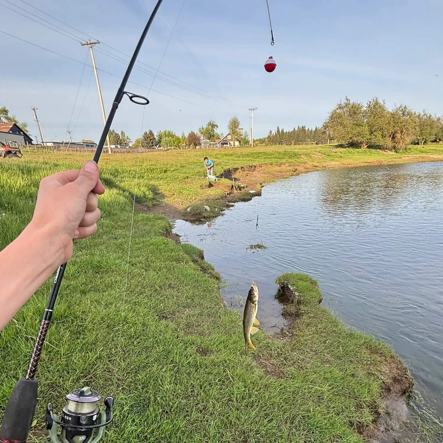 catch