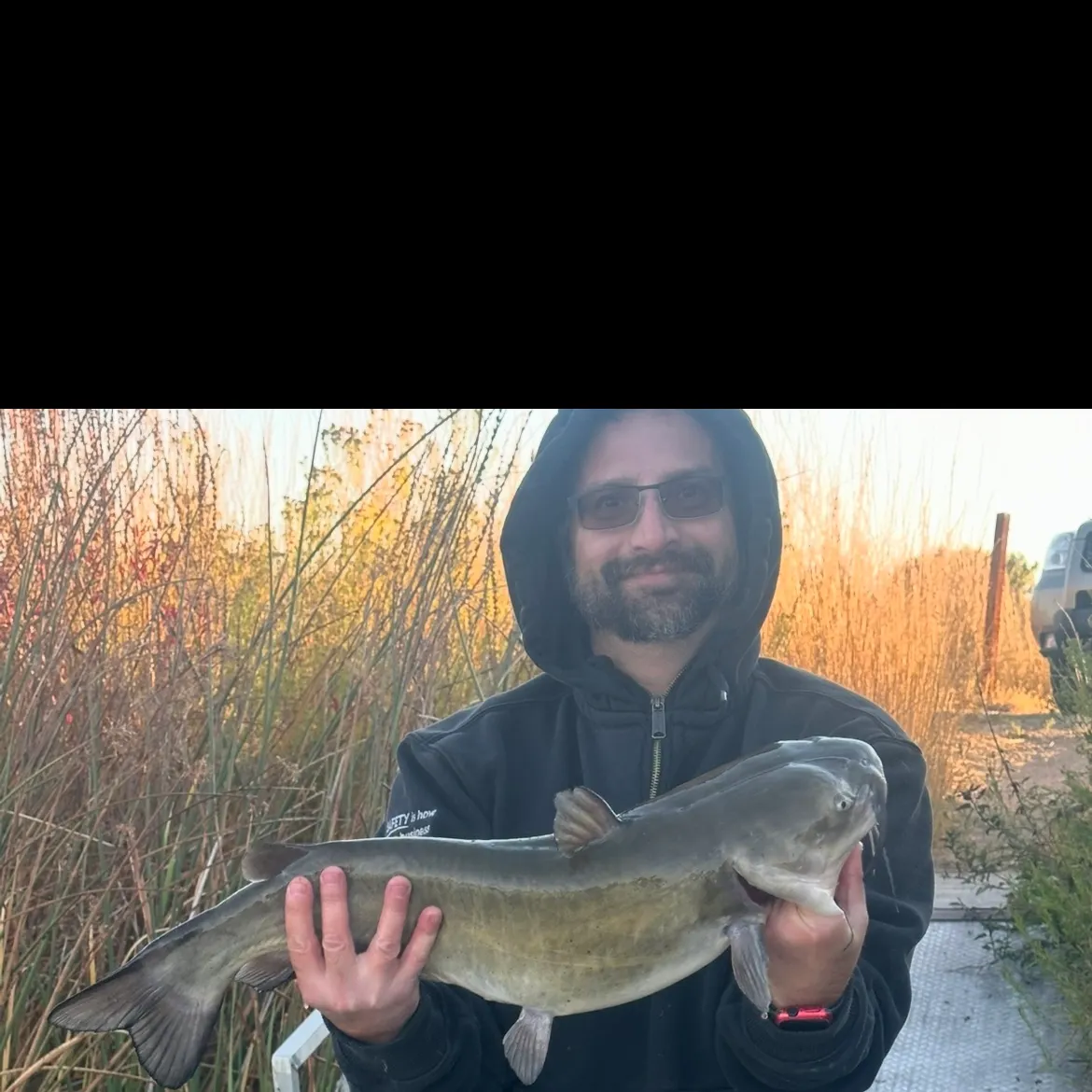 Channel catfish caught on Fishbrain