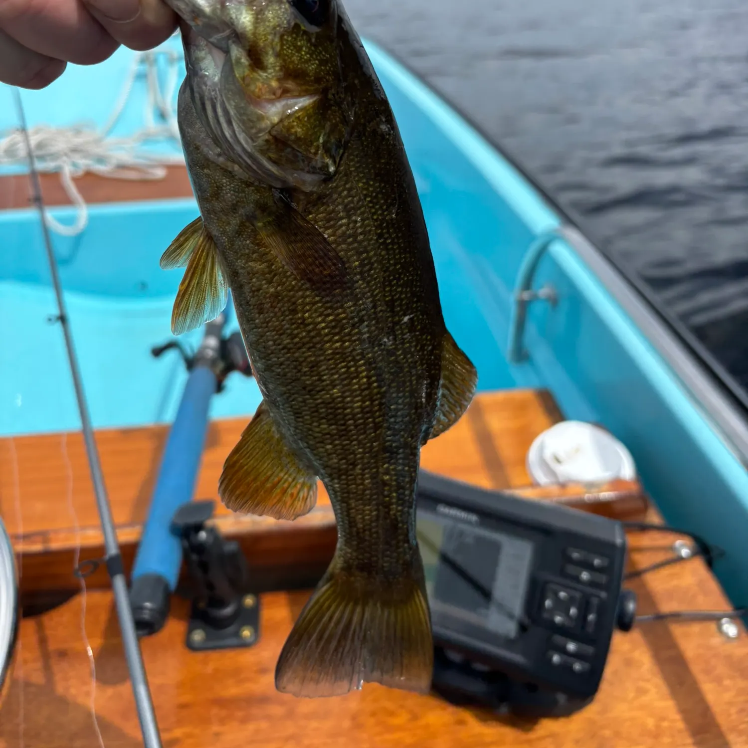 Smallmouth bass caught on Fishbrain