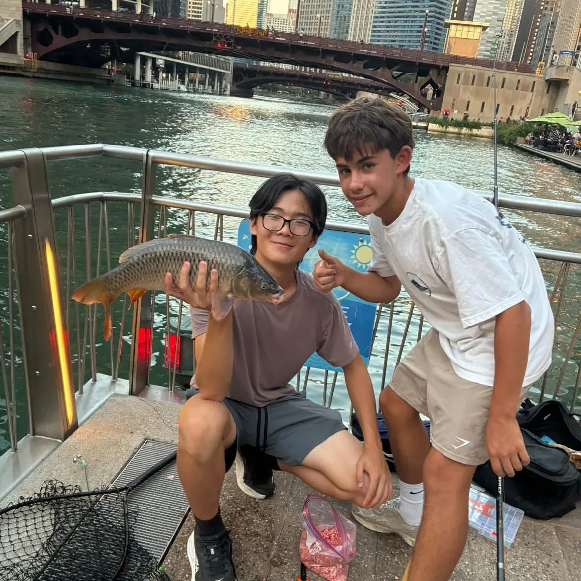 Common carp caught on Fishbrain
