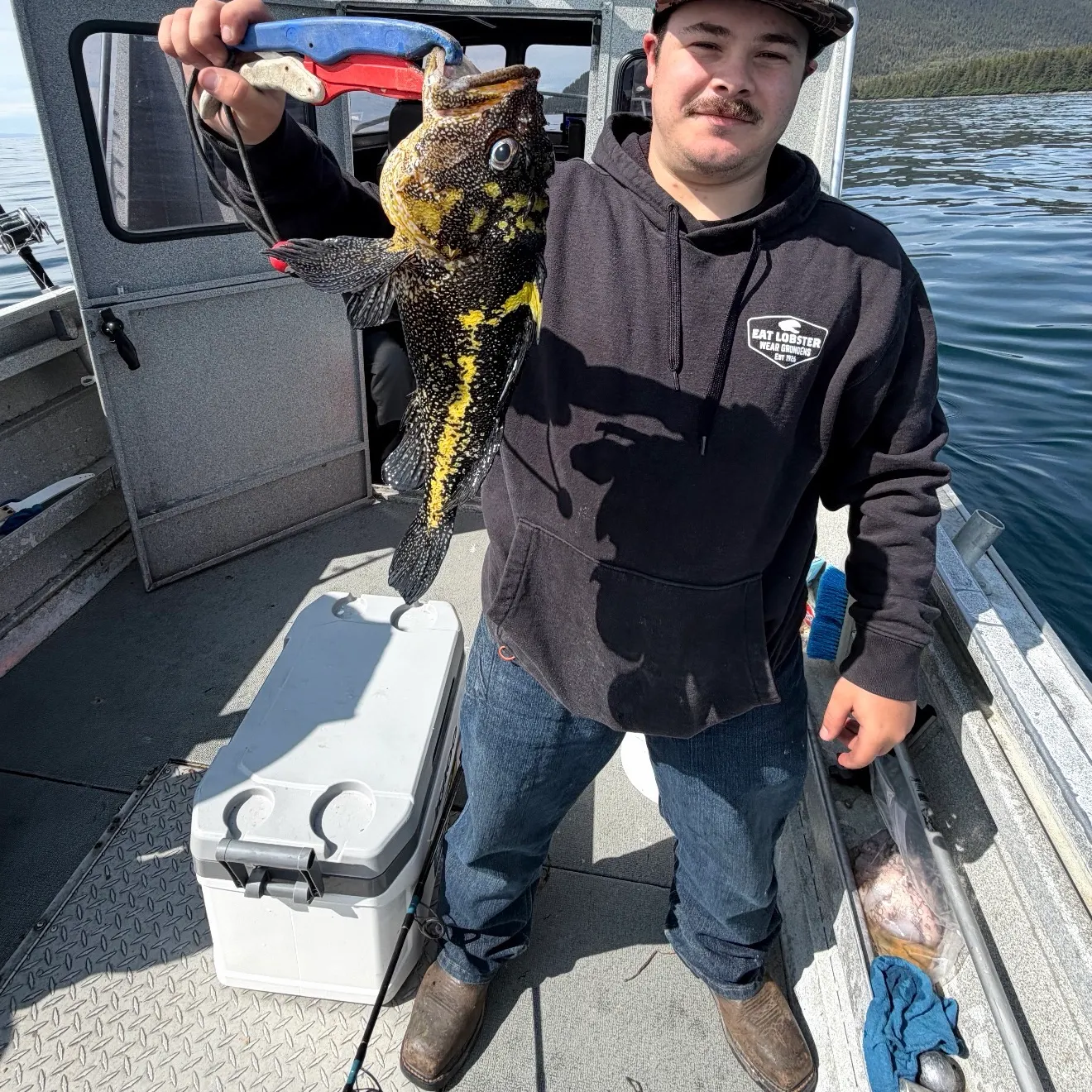 The most recent China rockfish catches on Fishbrain