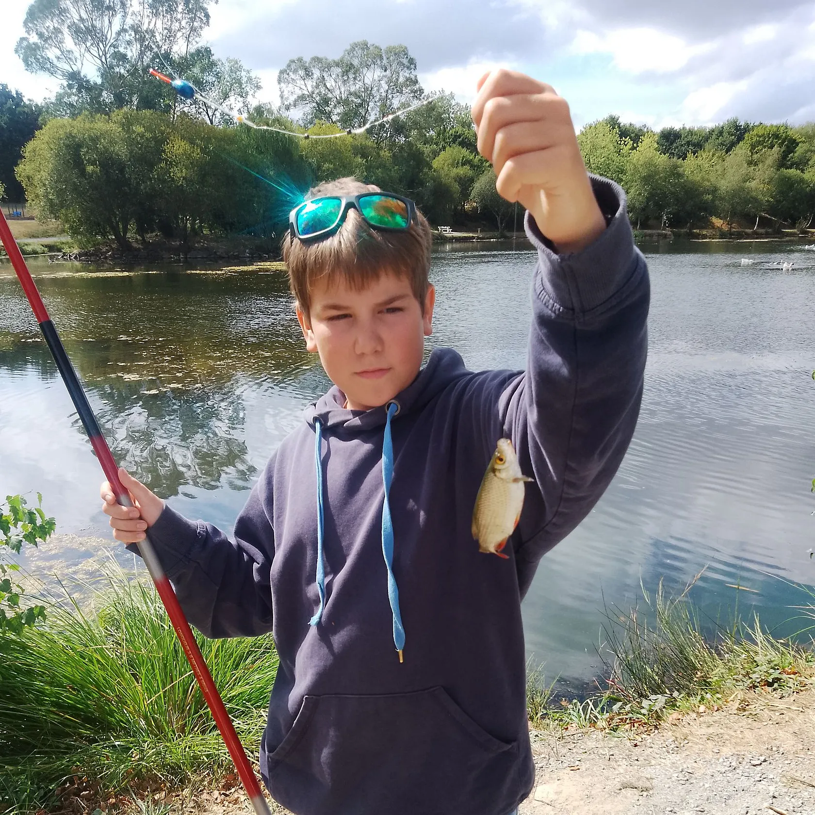 Common rudd caught on Fishbrain