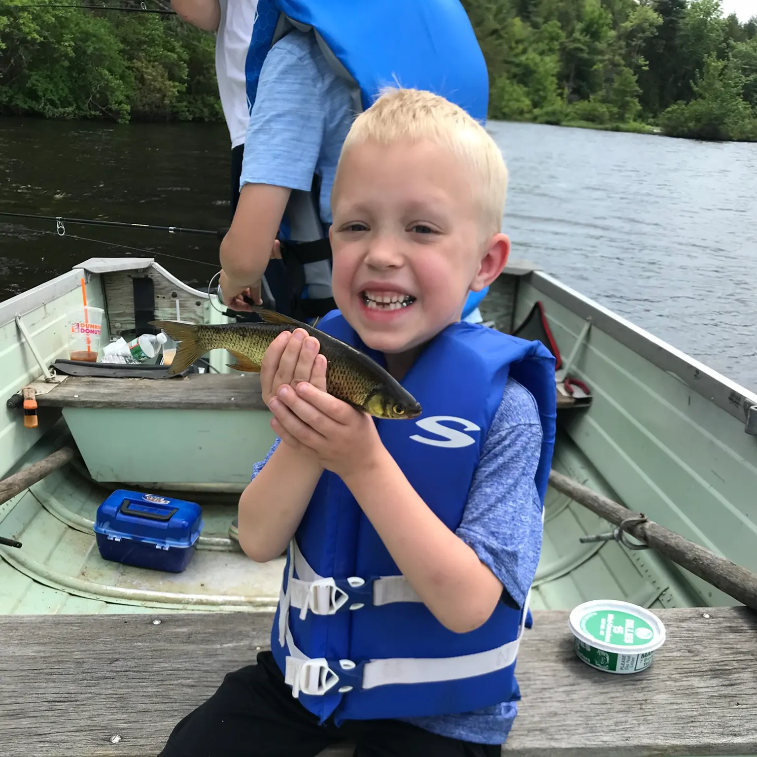 The most recent Golden shiner catches on Fishbrain