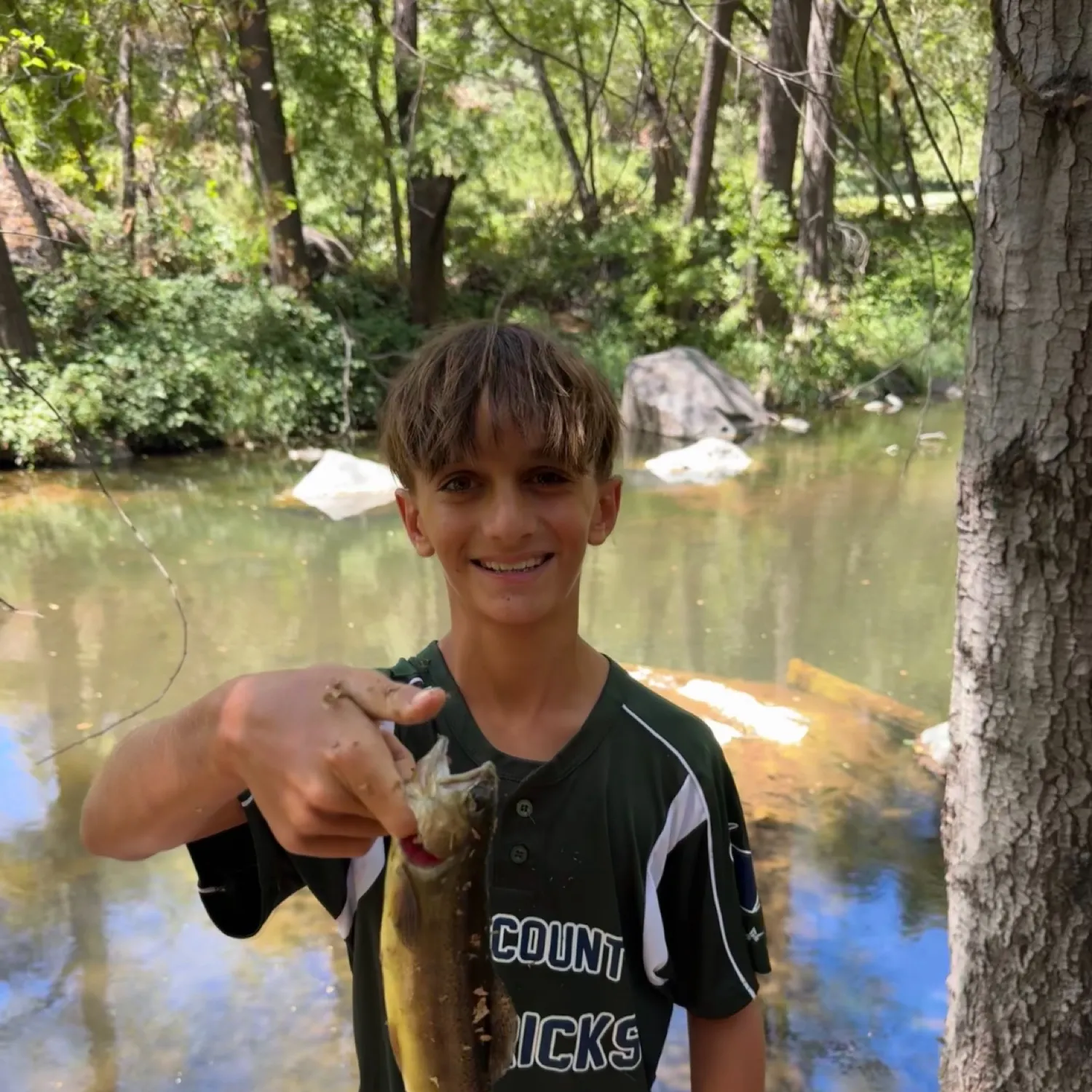 The most recent Gila trout catches on Fishbrain