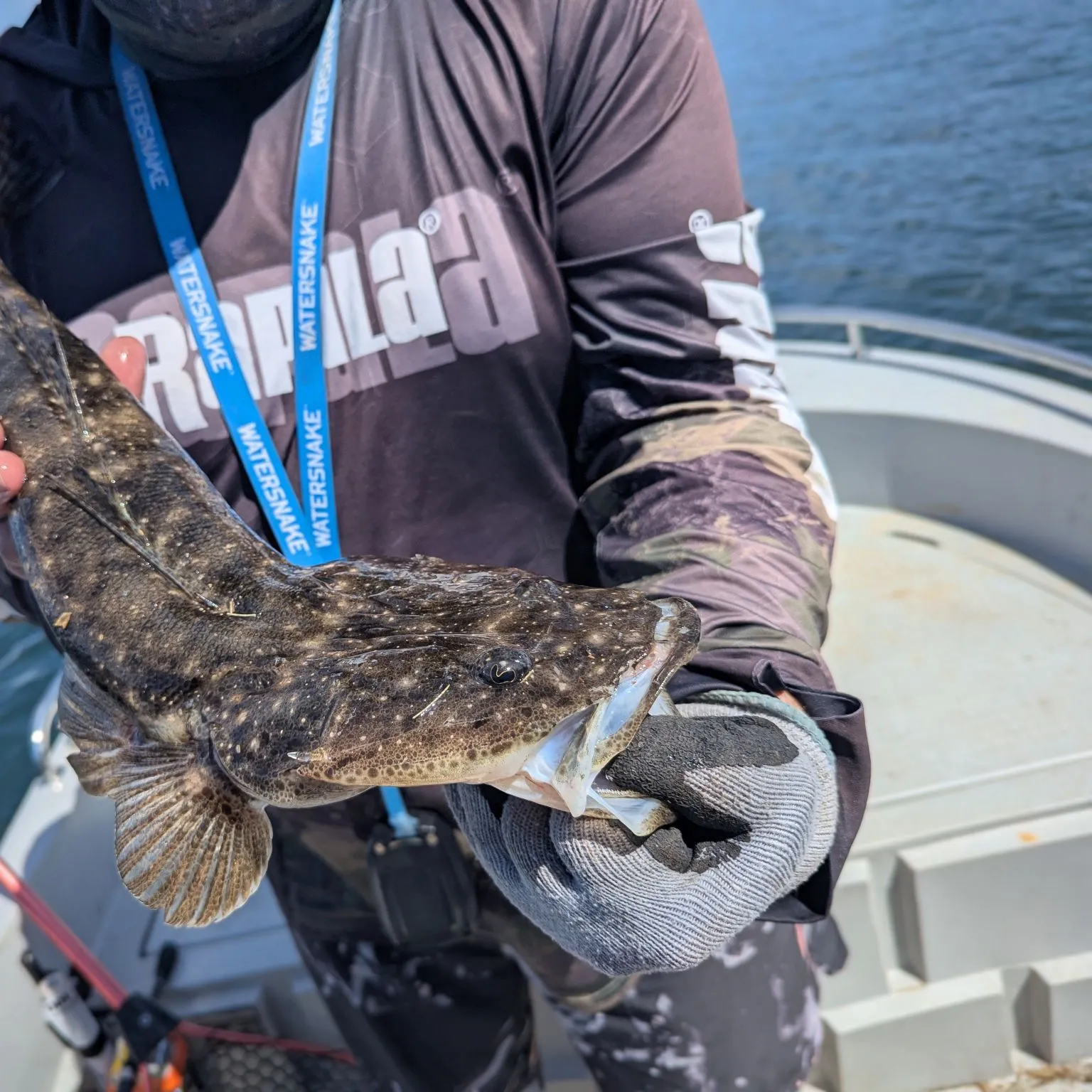 Dusky flathead caught on Fishbrain