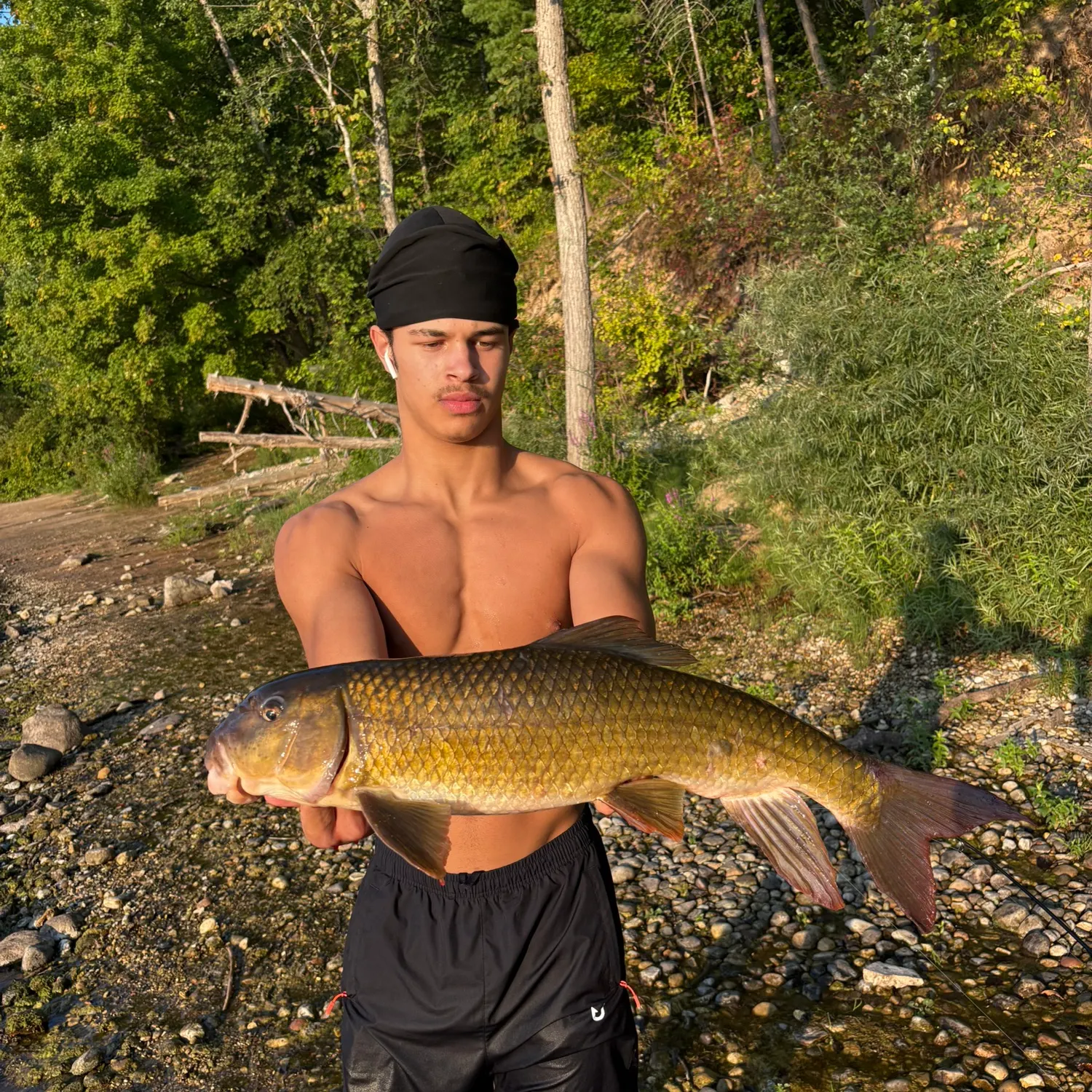 The most recent Golden redhorse catches on Fishbrain
