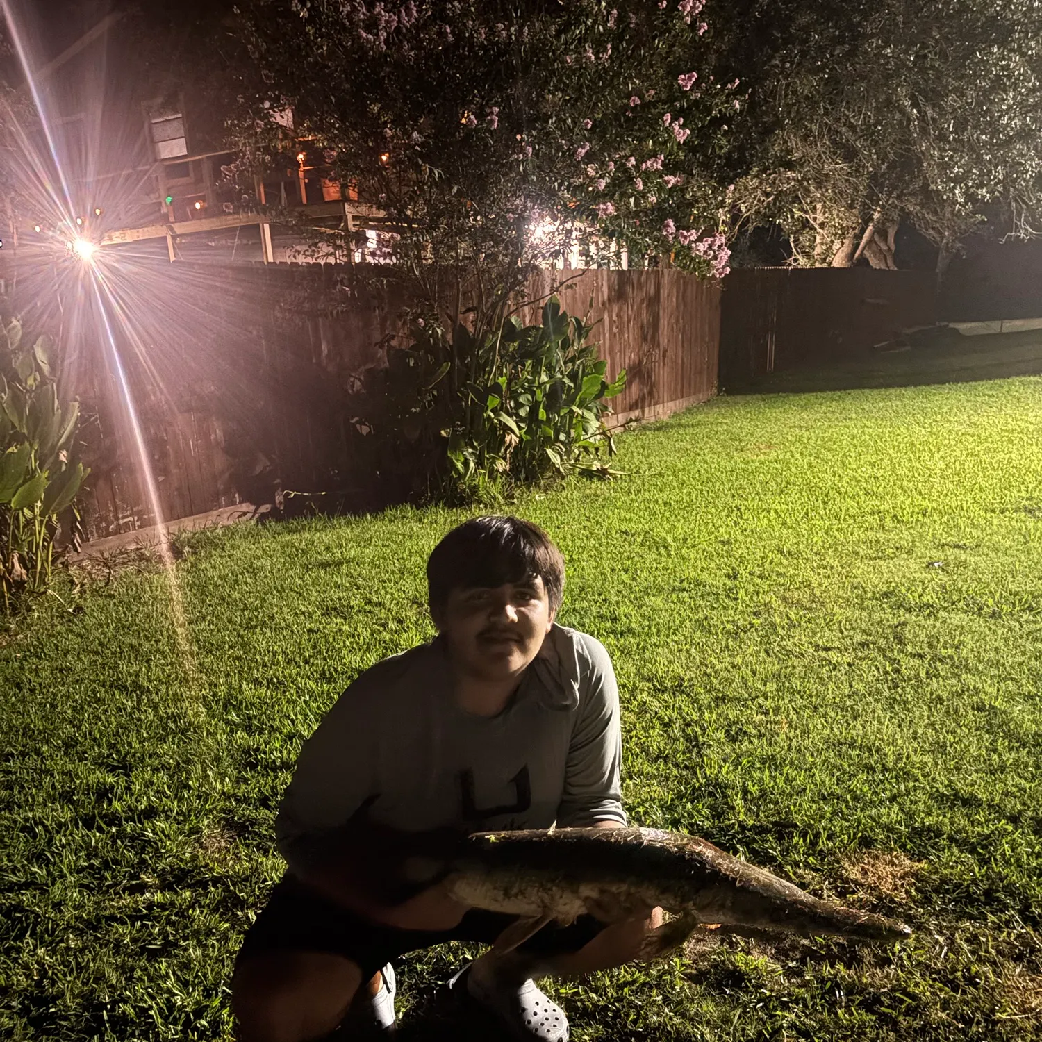 The most recent Alligator gar catches on Fishbrain