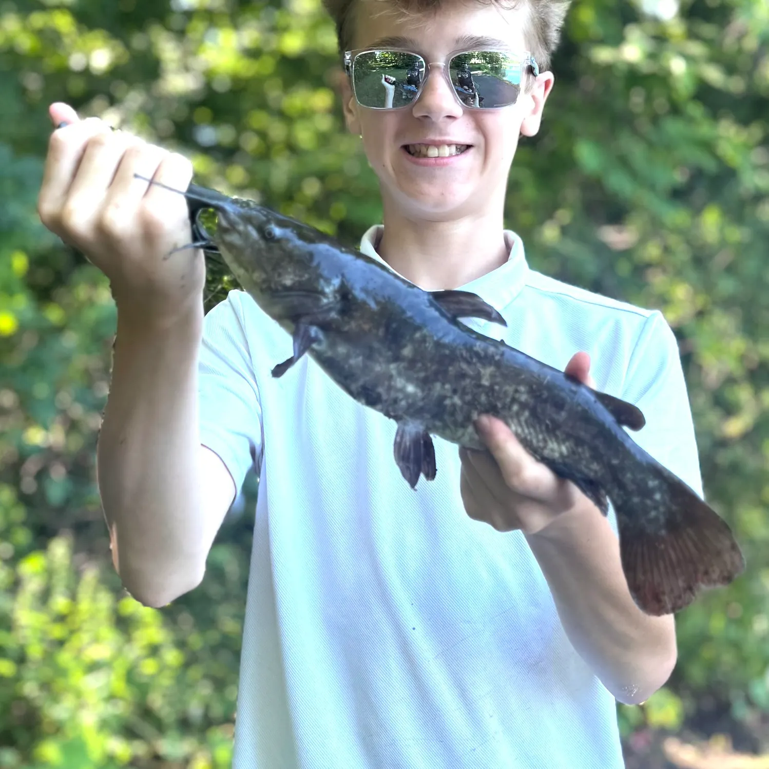 Black bullhead caught on Fishbrain