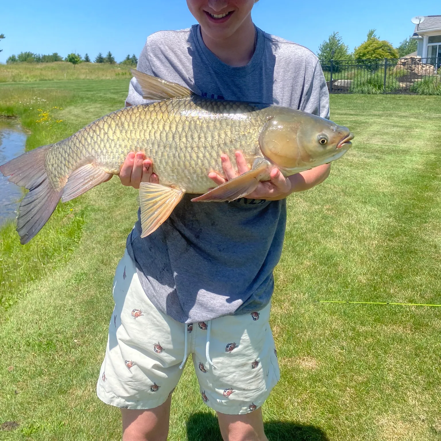 The most recent Grass carp catches on Fishbrain