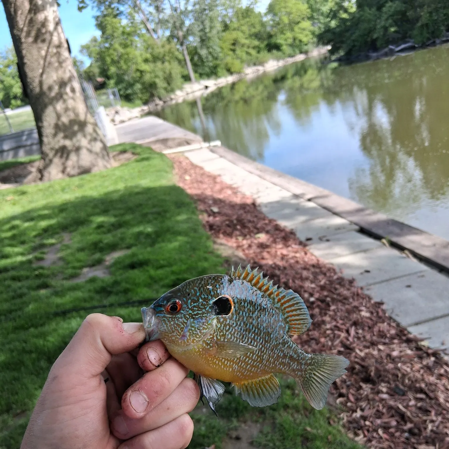 catch