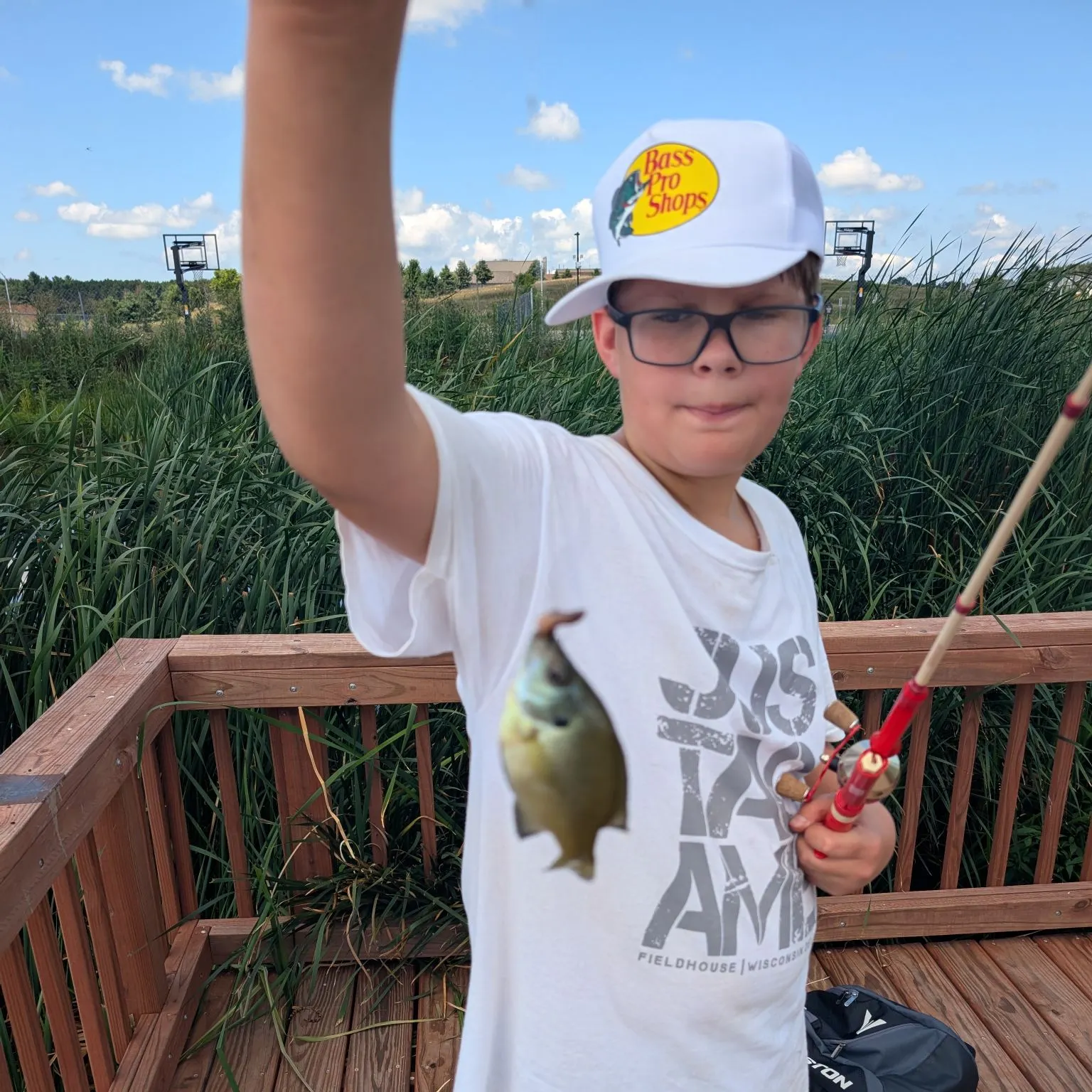 Green sunfish caught on Fishbrain